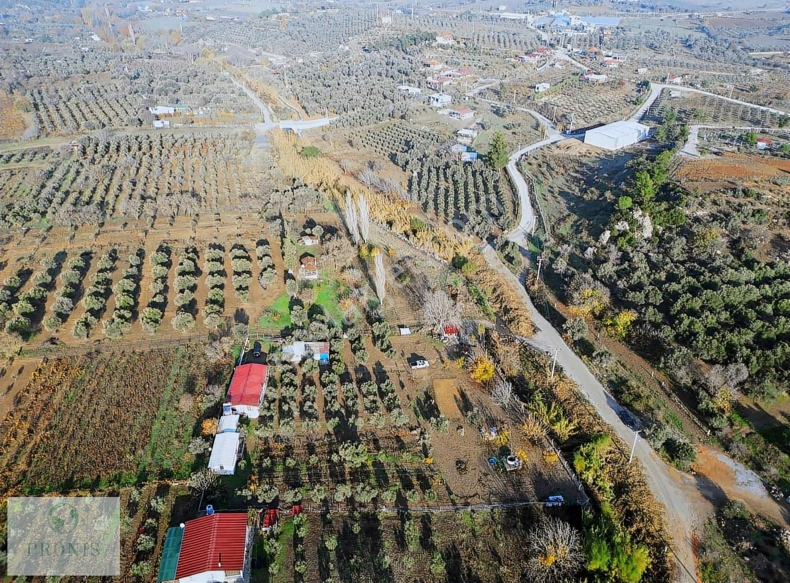 Dereköy'de 5 Dönümde Kurulu Ev Ve Bahçe - Görsel 6