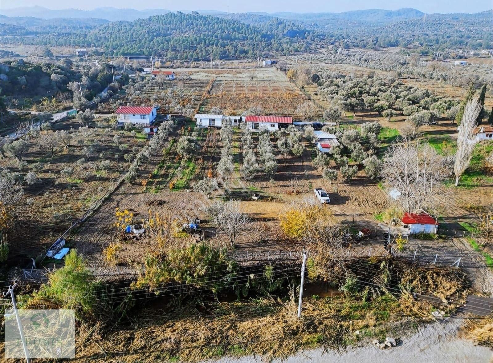 Dereköy'de 5 Dönümde Kurulu Ev Ve Bahçe - Görsel 13