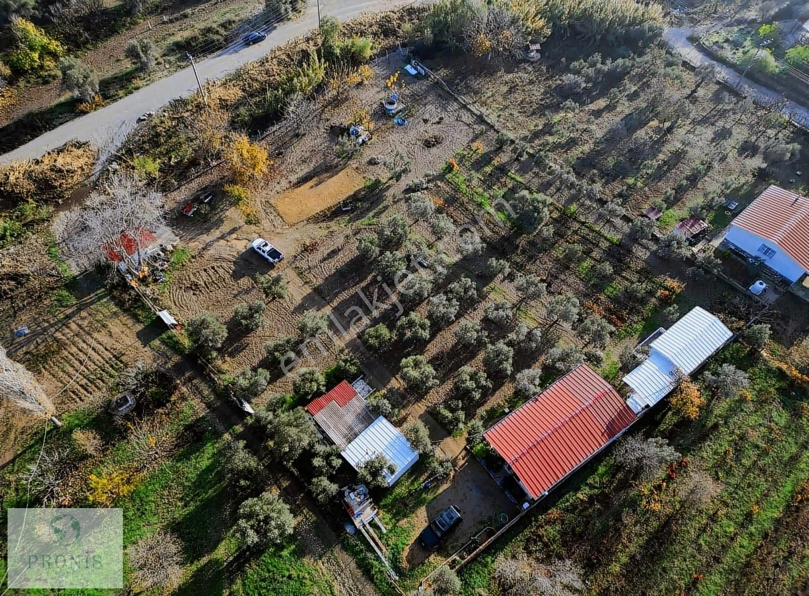 Dereköy'de 5 Dönümde Kurulu Ev Ve Bahçe - Görsel 18