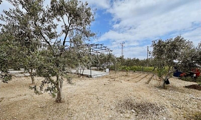 Capıtal Emlak'tan Saipler'de Hisse Tapulu Satılık Arazi - Görsel 5