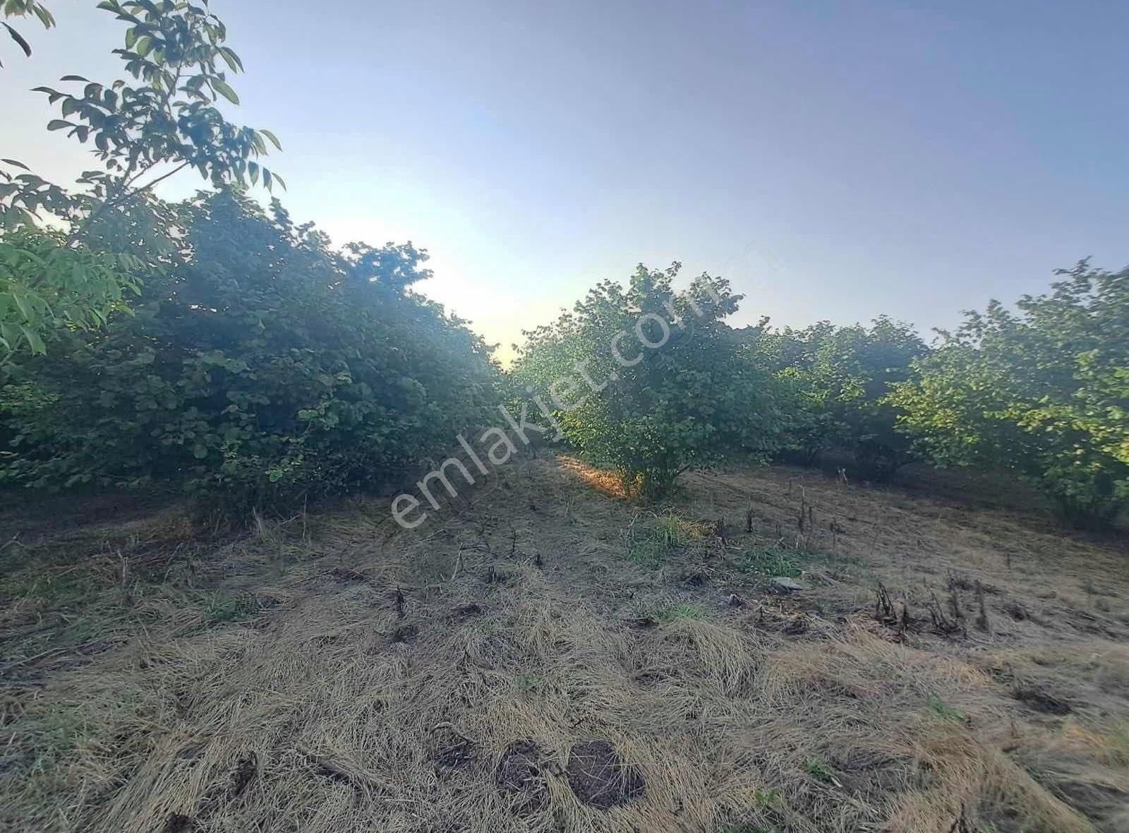 Sevgiemlaktan Satılık Arazi - Görsel 7