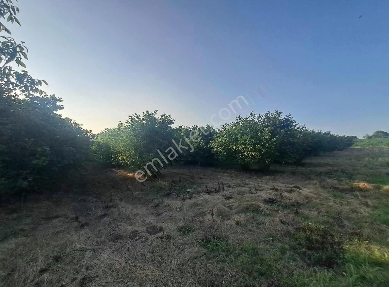 Sevgiemlaktan Satılık Arazi - Görsel 5