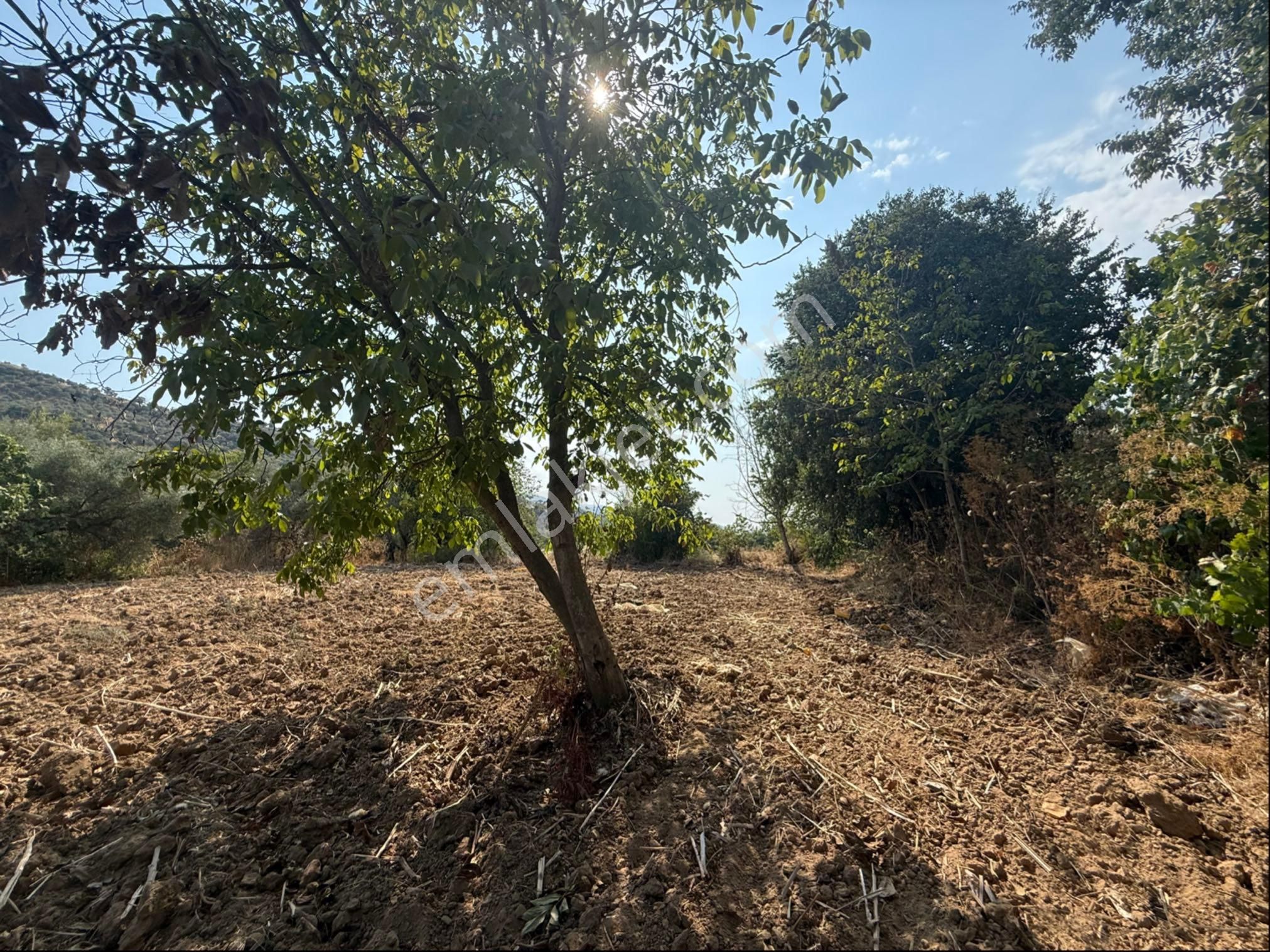 Pek Emlakta Fırsat Ürünü Şook Fiyatı İle Müstakil Tapulu Hobi Bahçesi - Görsel 10