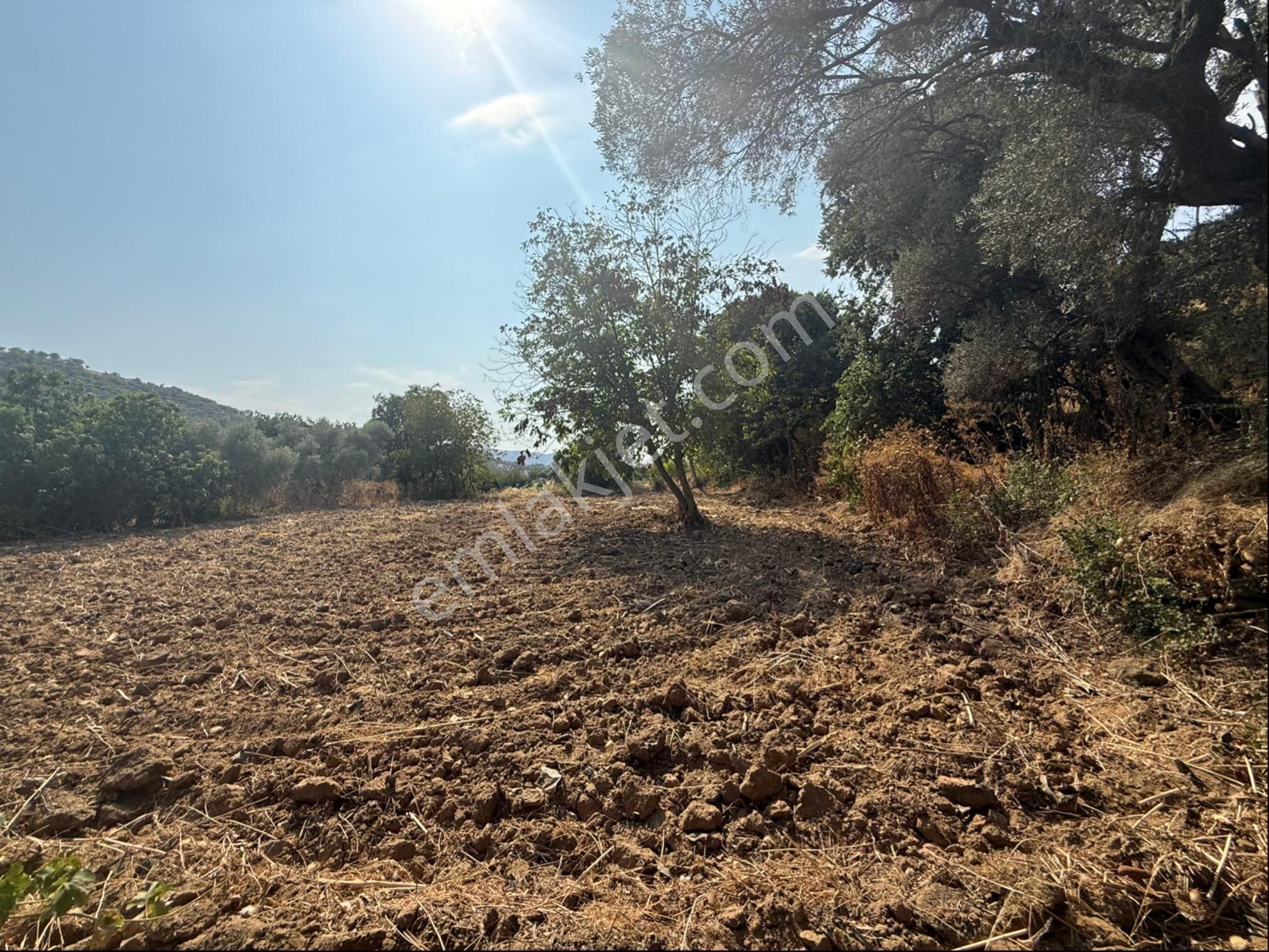 Pek Emlakta Fırsat Ürünü Şook Fiyatı İle Müstakil Tapulu Hobi Bahçesi - Görsel 3