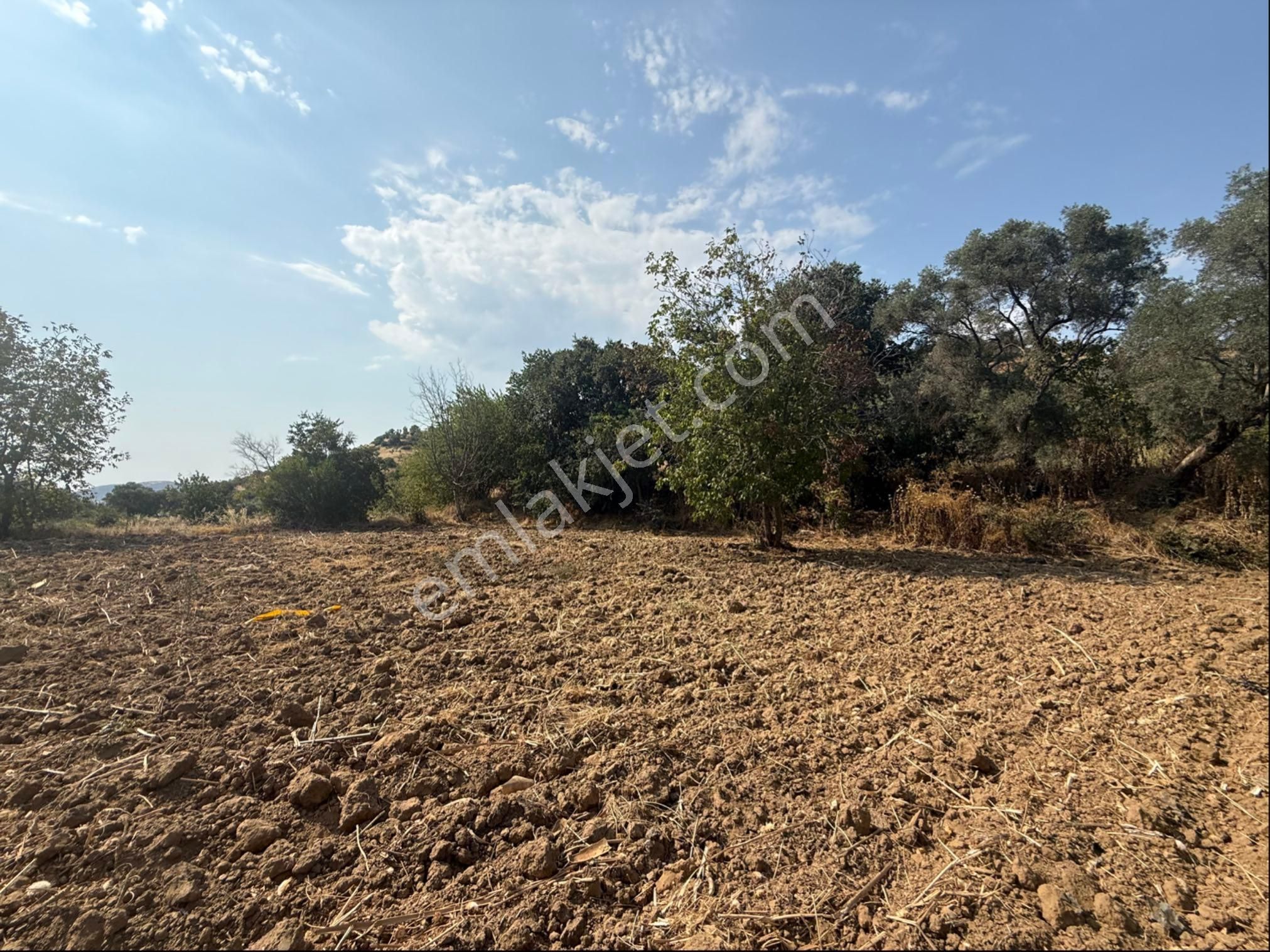 Pek Emlakta Fırsat Ürünü Şook Fiyatı İle Müstakil Tapulu Hobi Bahçesi - Görsel 4