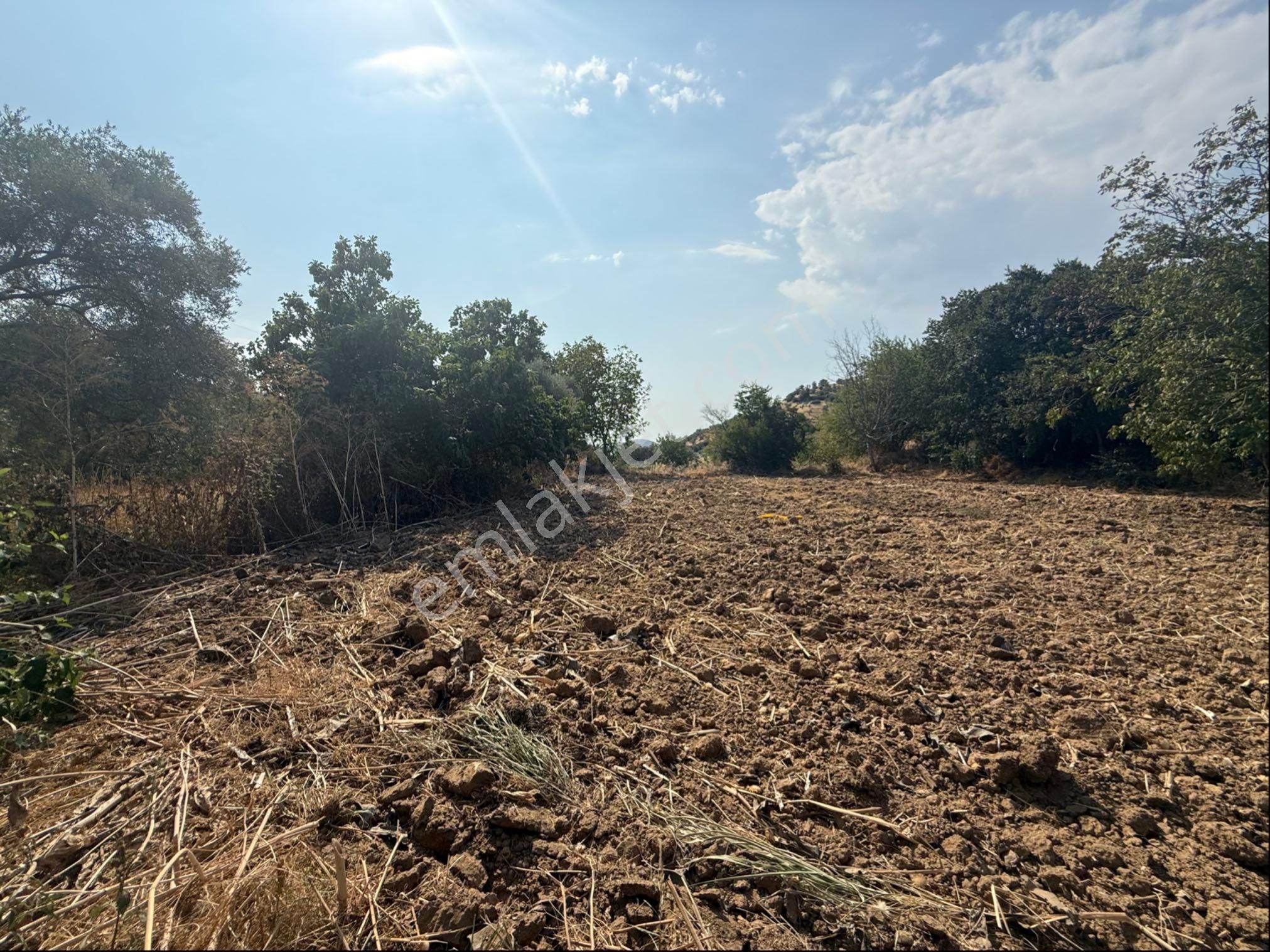 Pek Emlakta Fırsat Ürünü Şook Fiyatı İle Müstakil Tapulu Hobi Bahçesi - Görsel 11