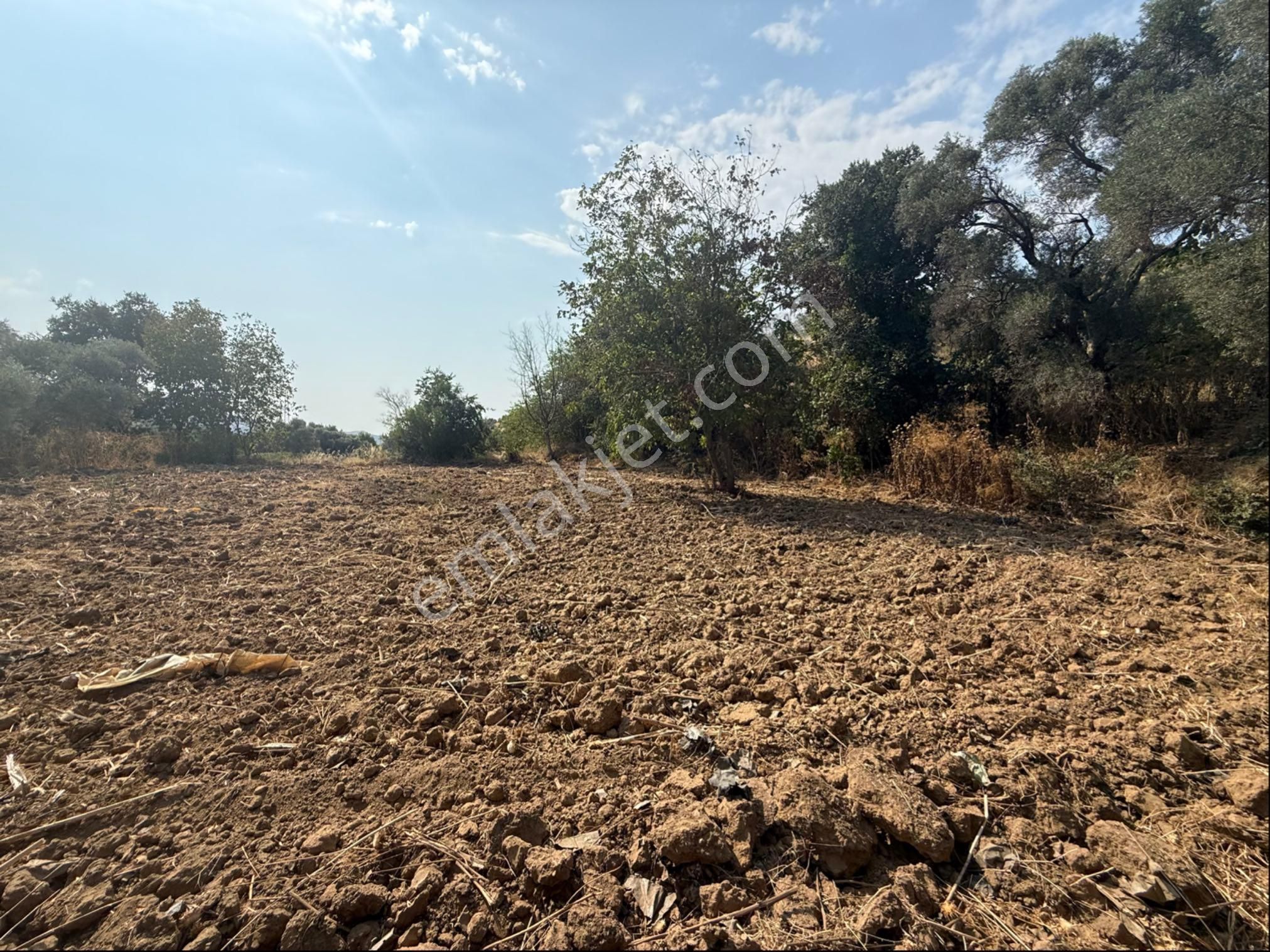 Pek Emlakta Fırsat Ürünü Şook Fiyatı İle Müstakil Tapulu Hobi Bahçesi - Görsel 7