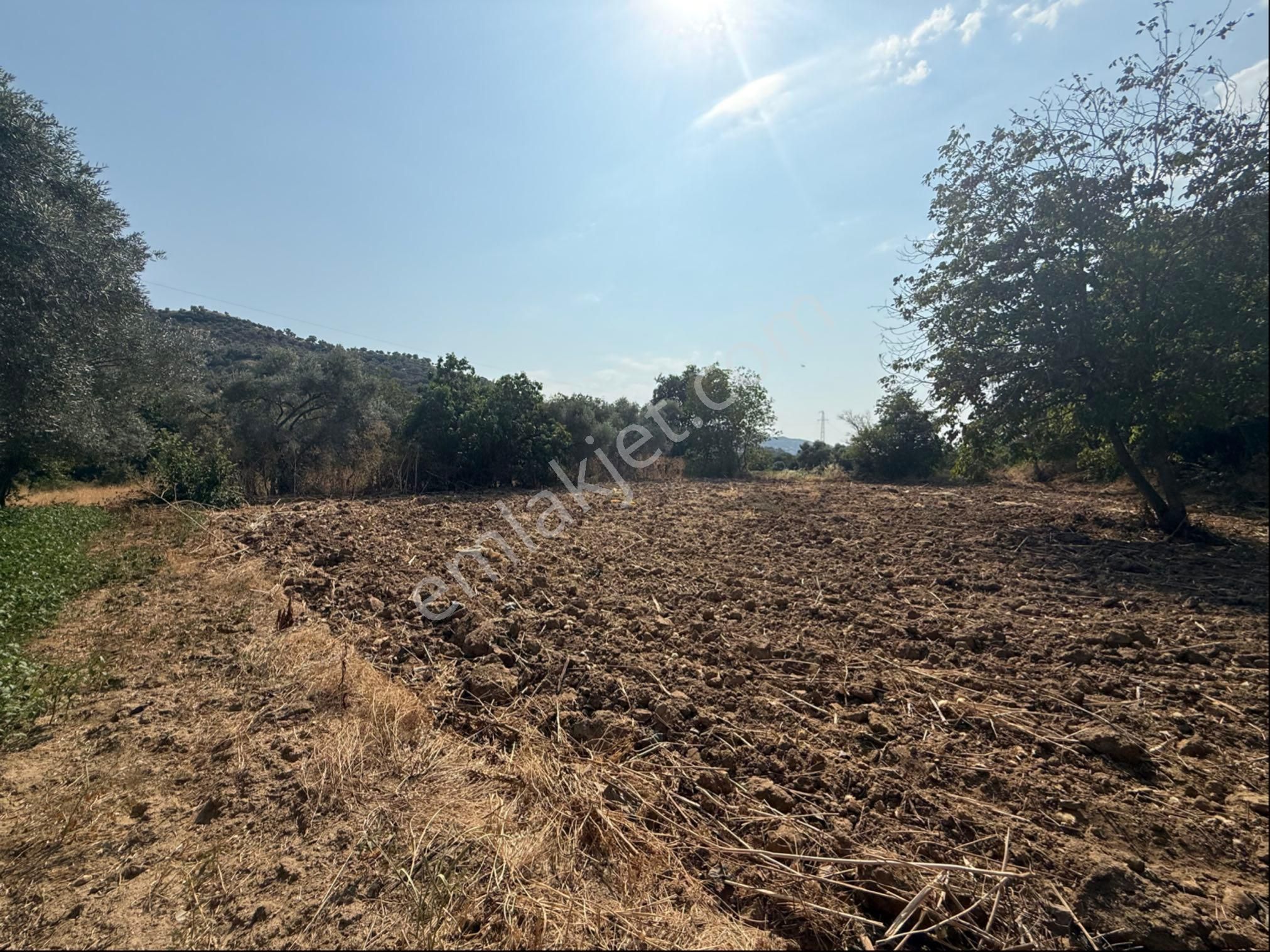 Pek Emlakta Fırsat Ürünü Şook Fiyatı İle Müstakil Tapulu Hobi Bahçesi - Görsel 6