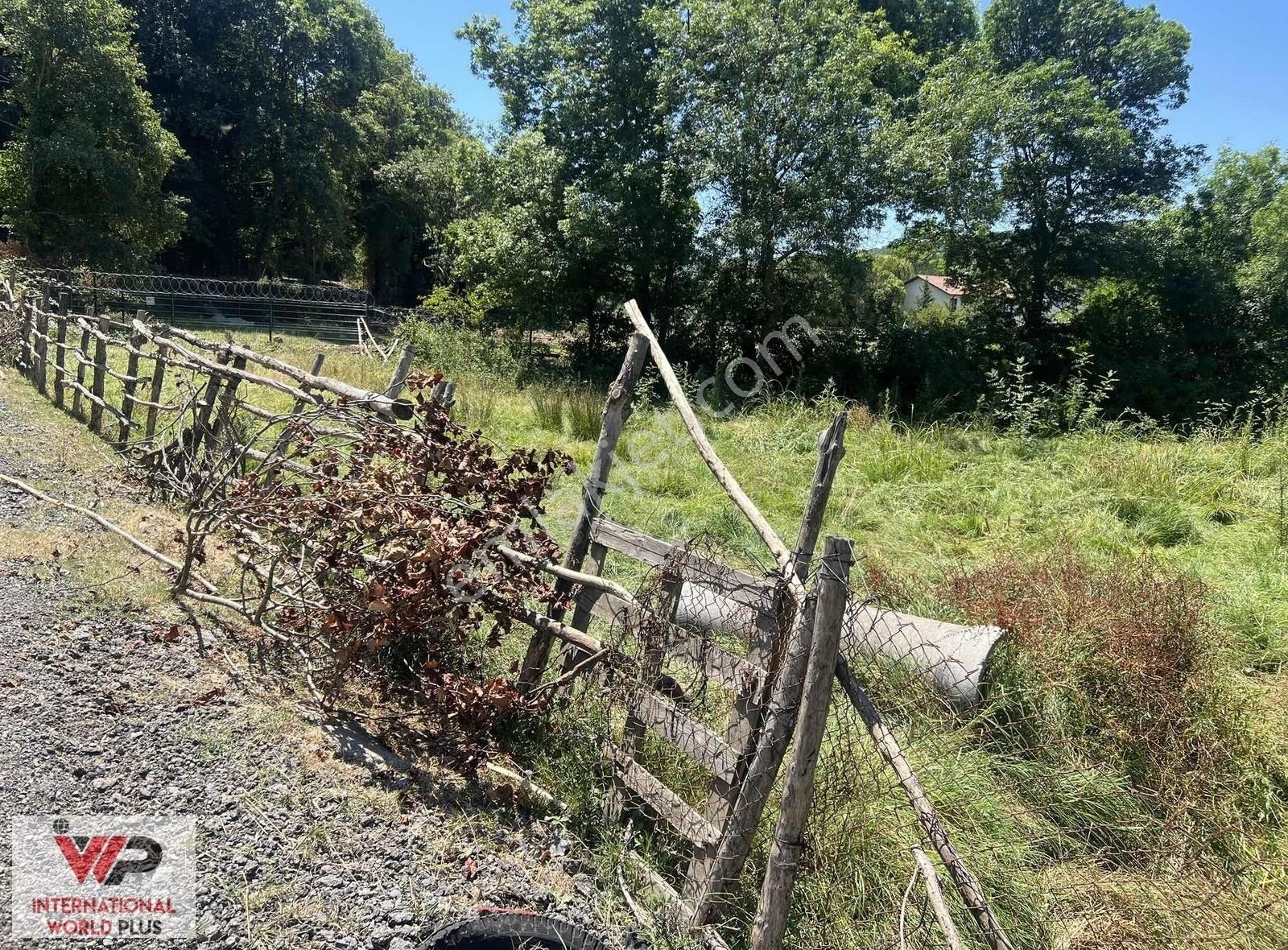 Beykoz Göllü Fırsat Yatırımlık Tarla