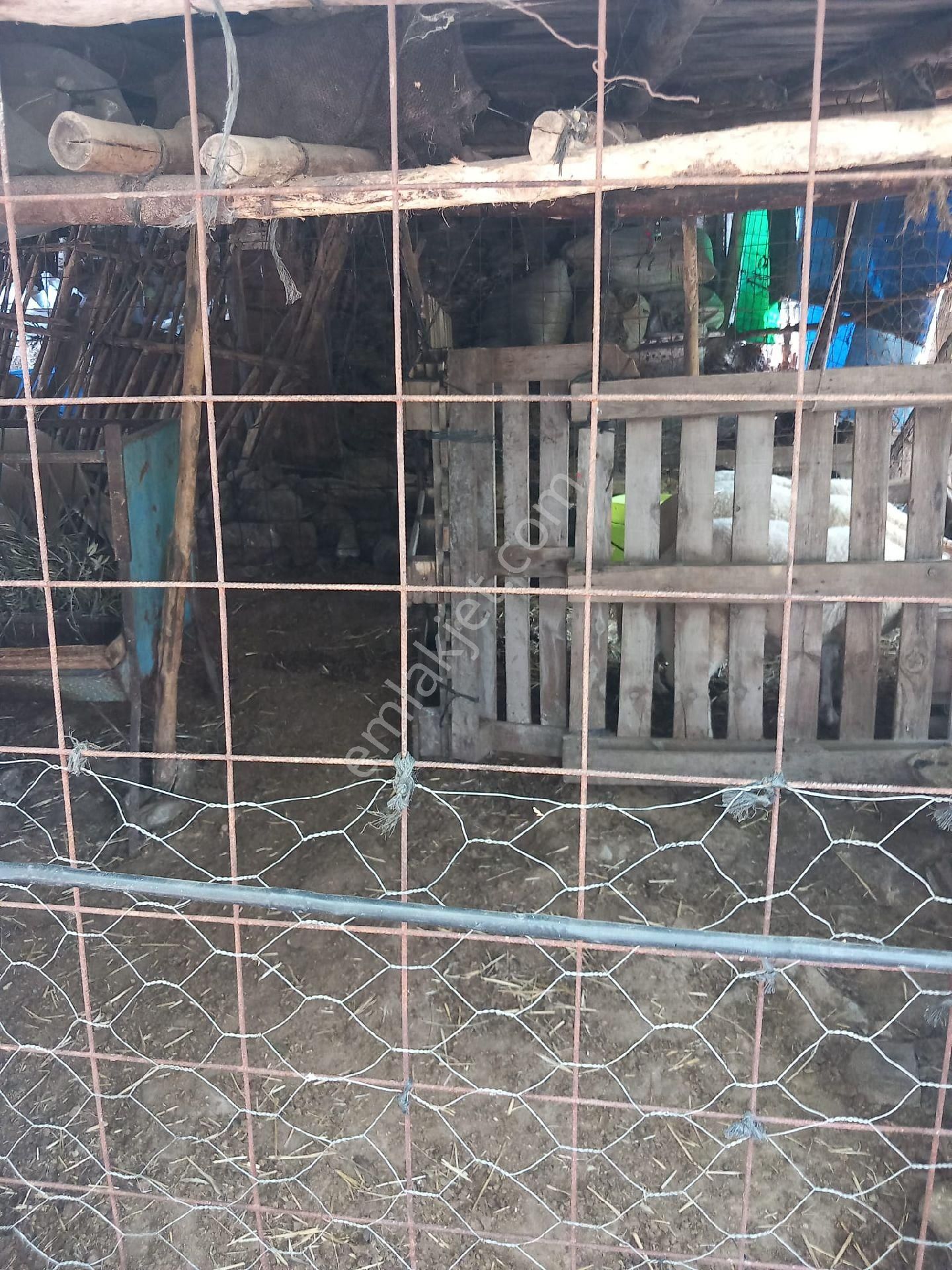 Ali Akdoğan Emlak Ofisinden Köy İçi Mevkiinde Arsa Satılıktır - Görsel 6