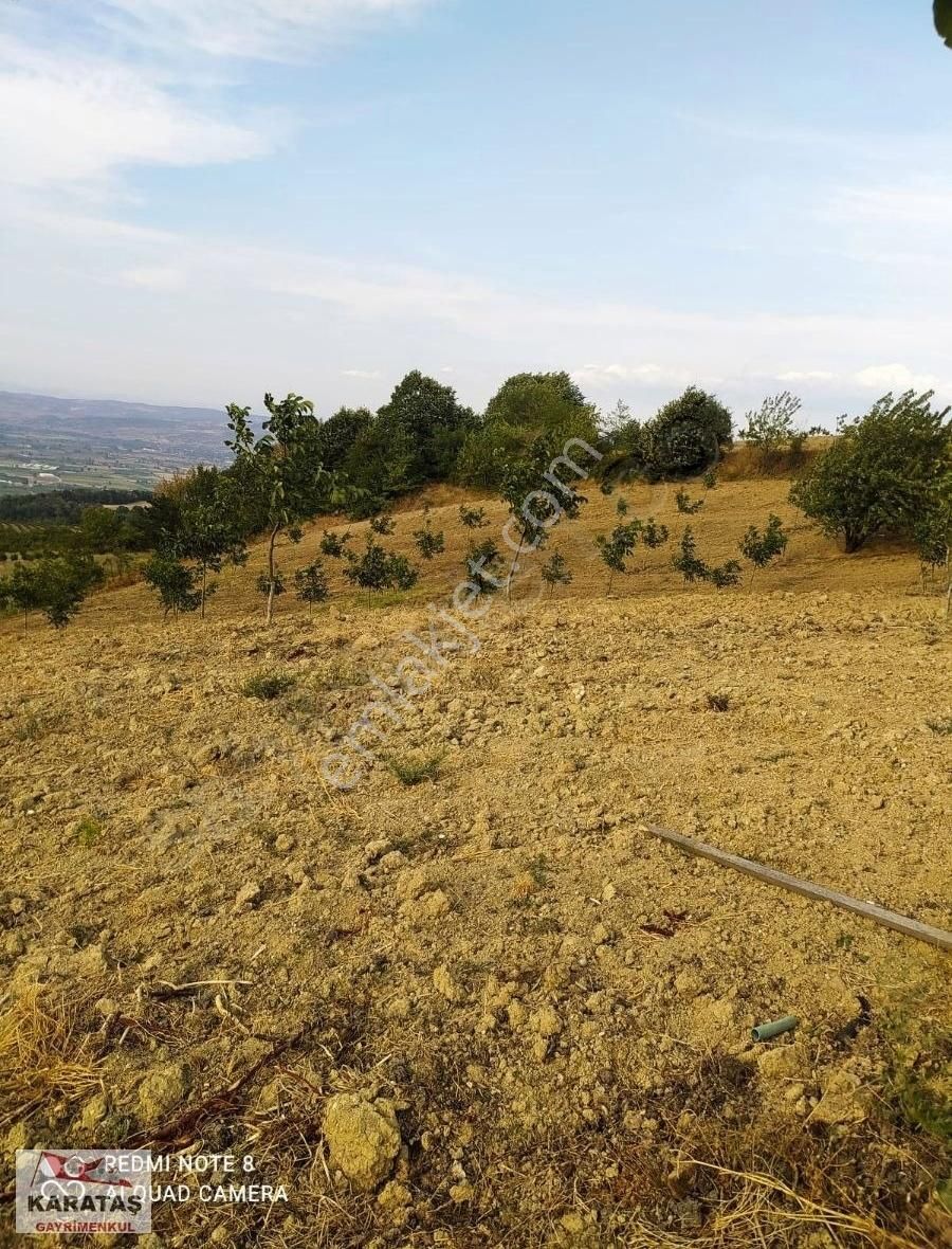 İnegöl Dipsizgölde 14 Dönüm Kupon Ceviz Bahçesi - Görsel 2