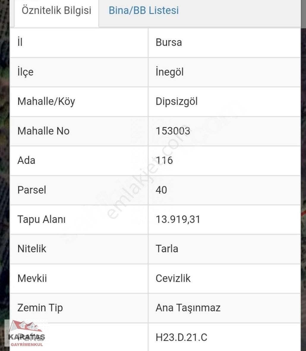 İnegöl Dipsizgölde 14 Dönüm Kupon Ceviz Bahçesi - Görsel 4