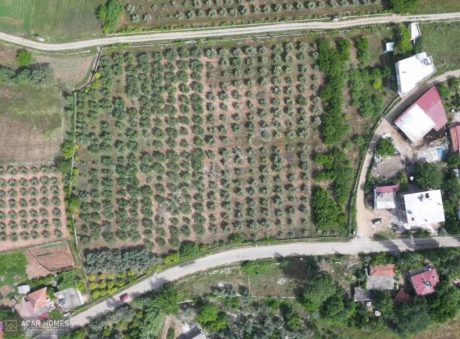 Seydikemer Kabaağaç Köyü Köy İçi İmarlı 14.000 M2 Müstakil