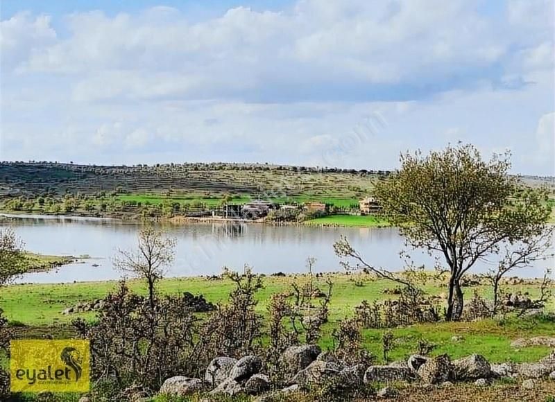 Muhteşem Bahçemiz De Elektrik Ve Su Vardır - Görsel 7