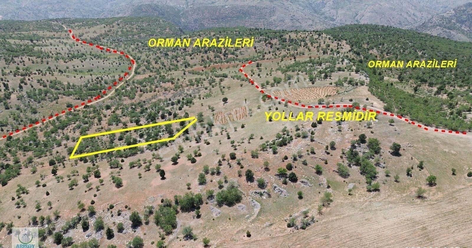Arısoydan Bozkır Hamzalarda 3651m² Bağ Tapu