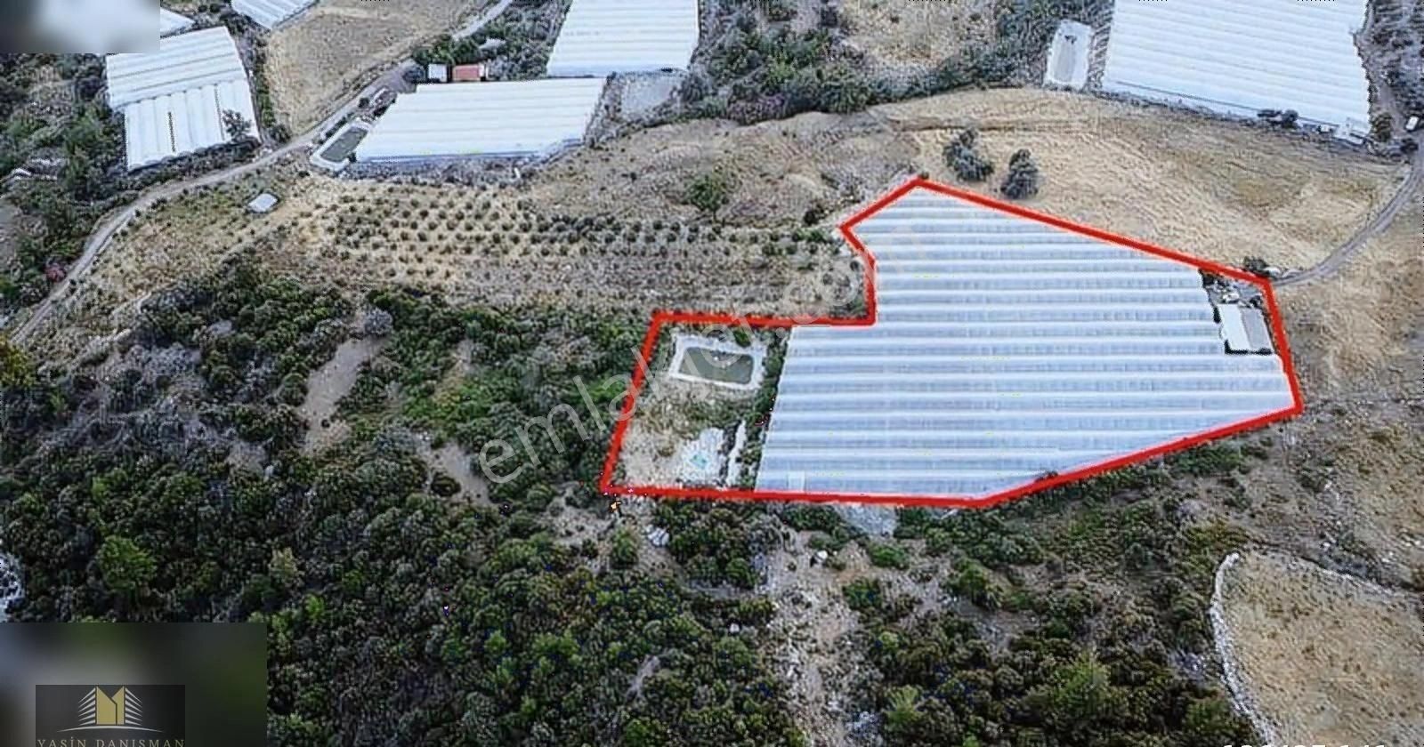 Kumluca İncirci̇kte Yüksek Getirili Satılık Sera Fırsatı! - Görsel 3