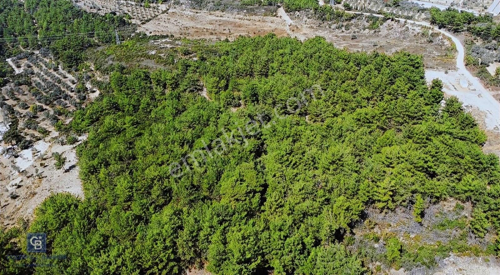Urla Camiatik Mah. 1.350 M2 Satılık Arsa - Görsel 3