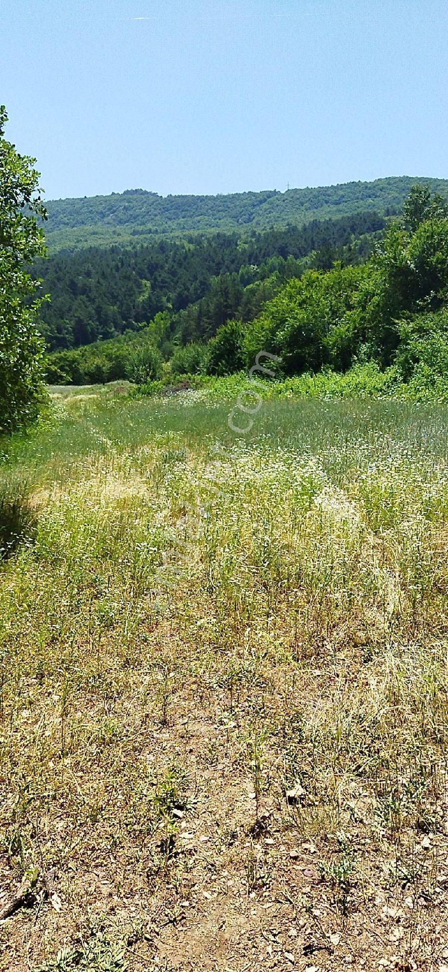 E.m.a Emlak Gayrimenkul Güvencesinde İnegöl Yeniceköyde Satılık 1500 M2 Tarla - Görsel 2