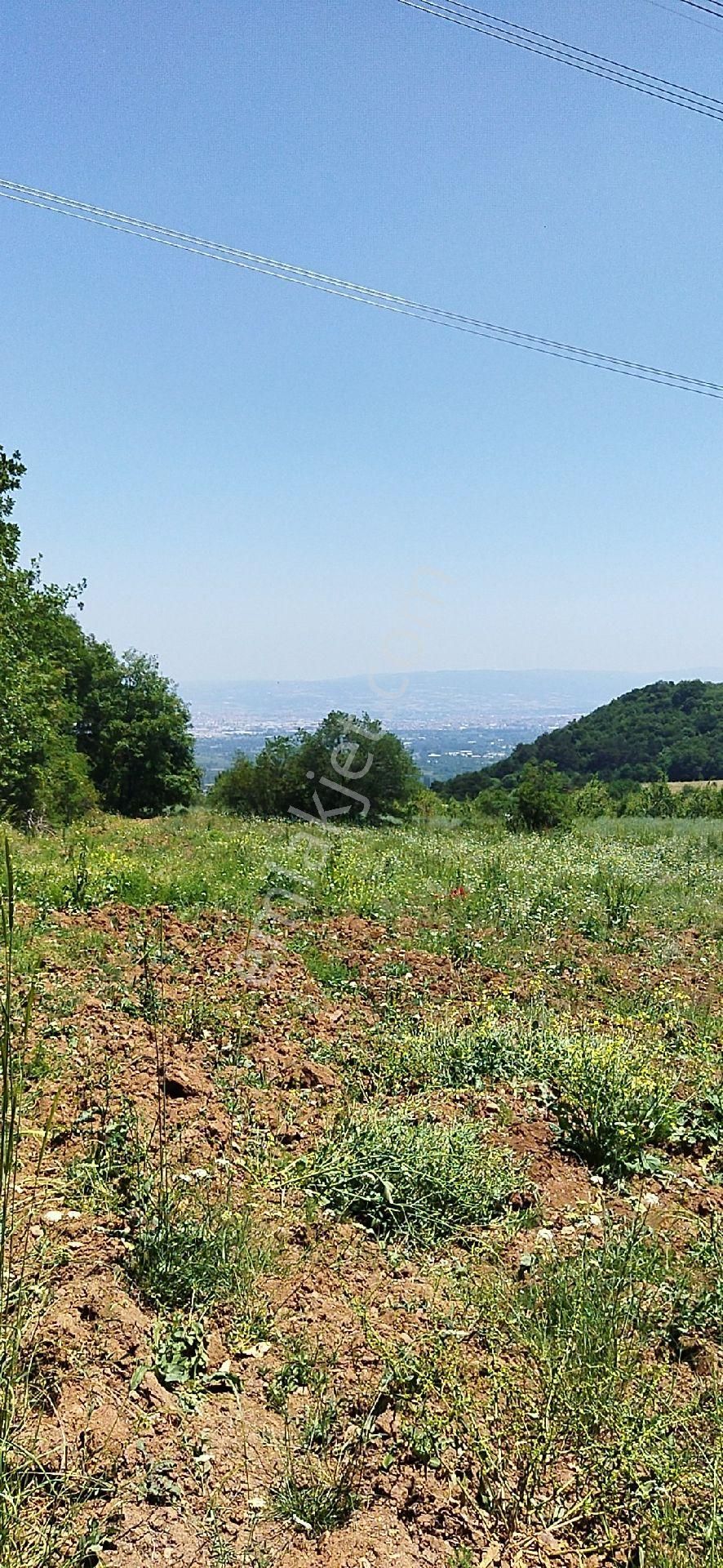E.m.a Emlak Gayrimenkul Güvencesinde İnegöl Yeniceköyde Satılık 1500 M2 Tarla