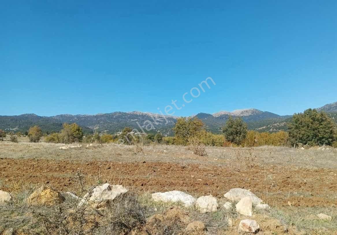Yayla Eldirek 1141 M2 Yolu Olan Arazi Acil Satılık - Görsel 3