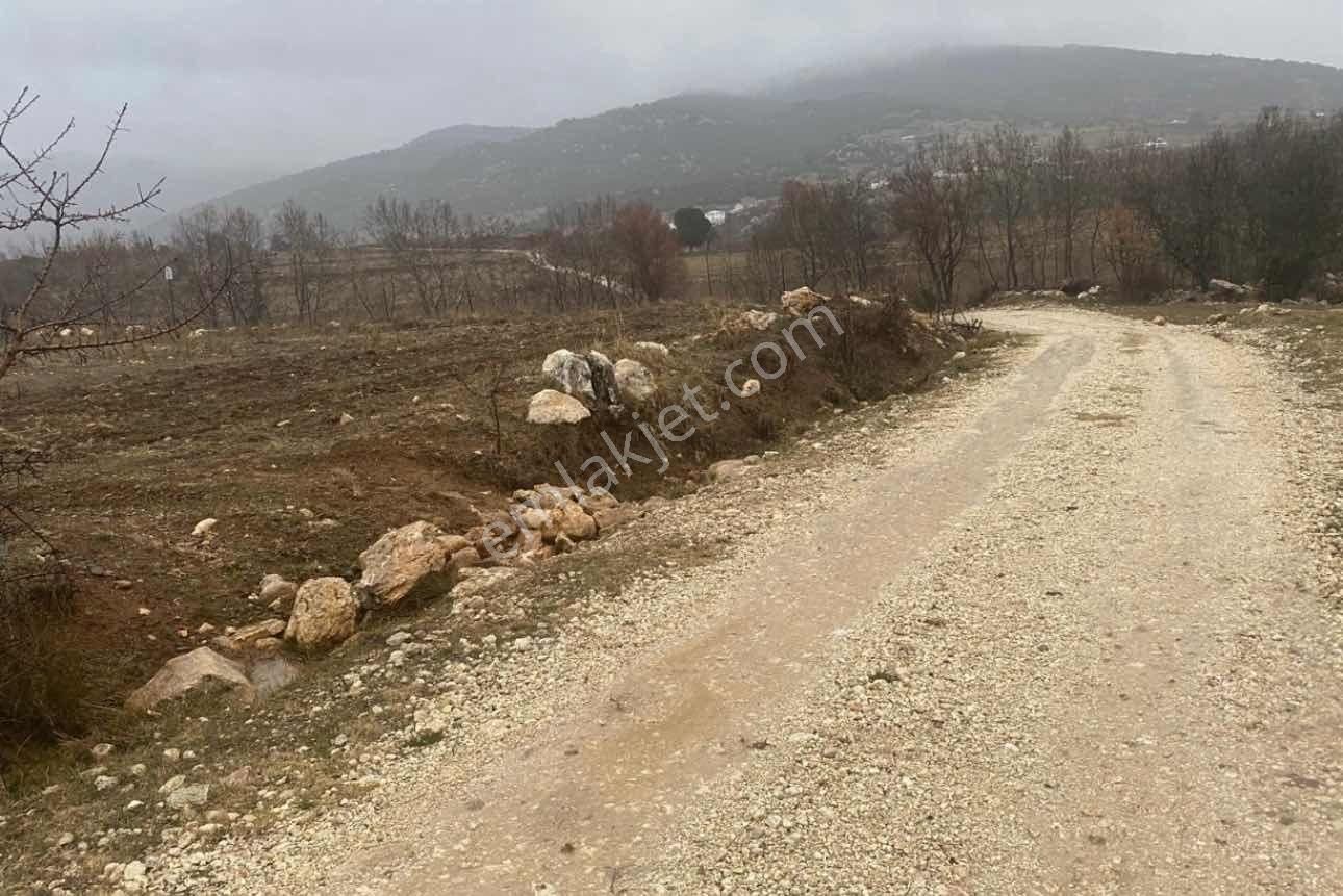 Yayla Eldirek 1141 M2 Yolu Olan Arazi Acil Satılık - Görsel 7