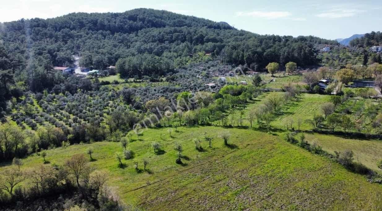 Göcek Gökçeovacık 968 M2 Fırsat Arazimiz Satılık - Görsel 10