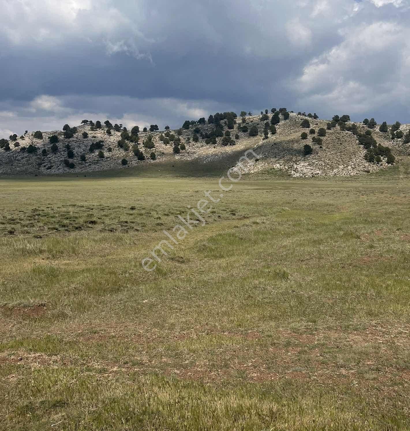 Girdev Yaylasında 3227 M2 Göle 5 Dk Mesafede Satılık Tarla - Görsel 4