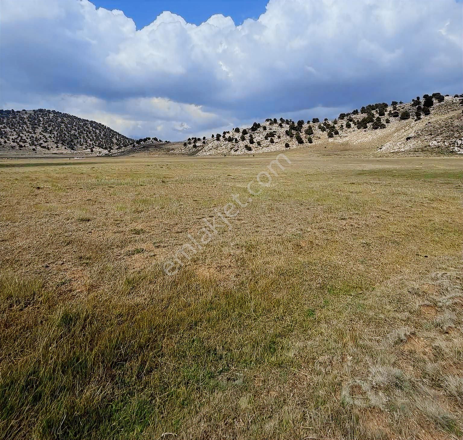 Girdev Yaylasında 3227 M2 Göle 5 Dk Mesafede Satılık Tarla - Görsel 6