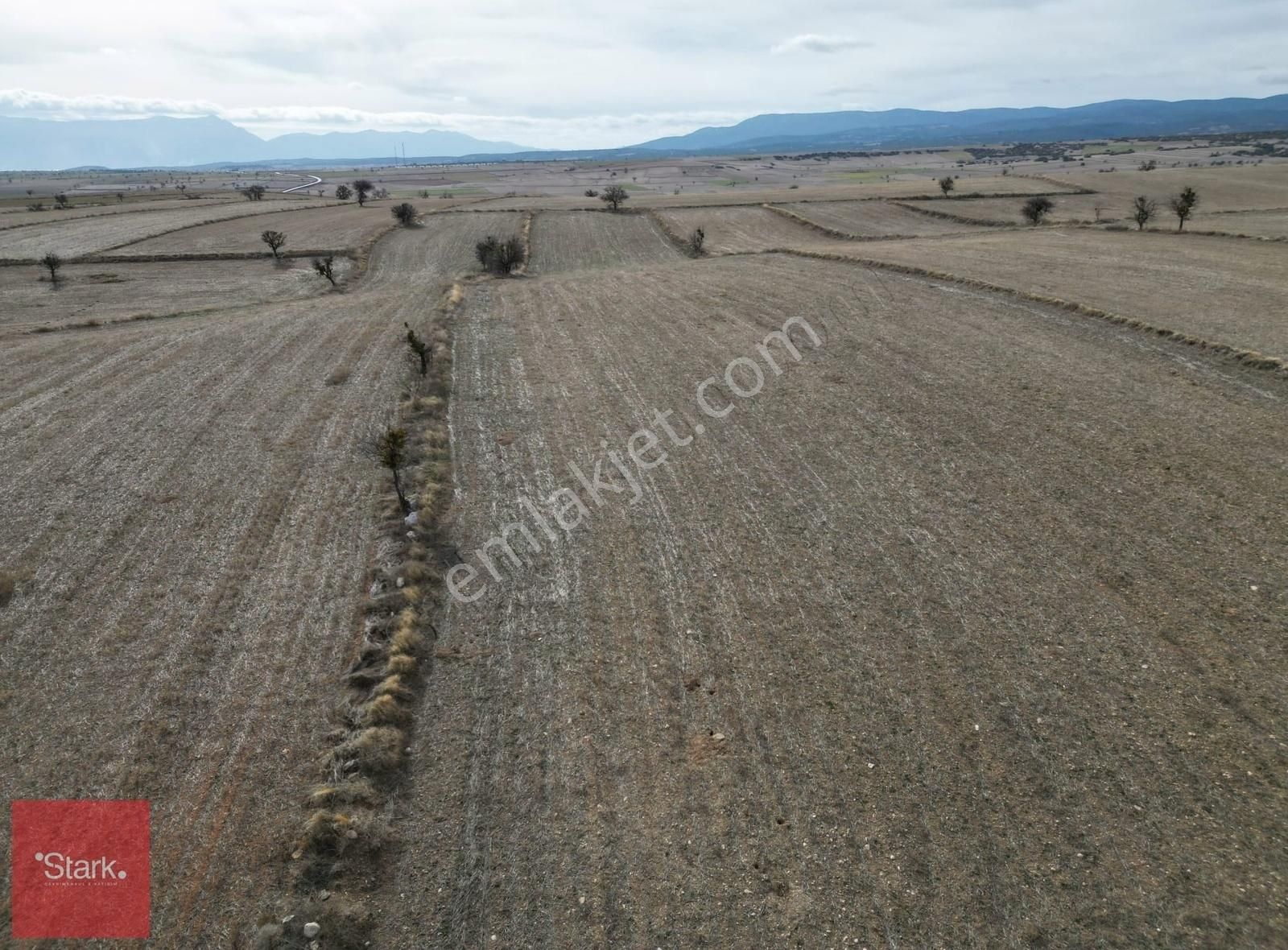 Afyon Dazkırı 8.700m2 Tek Tapu Satılık Tarla - Görsel 6