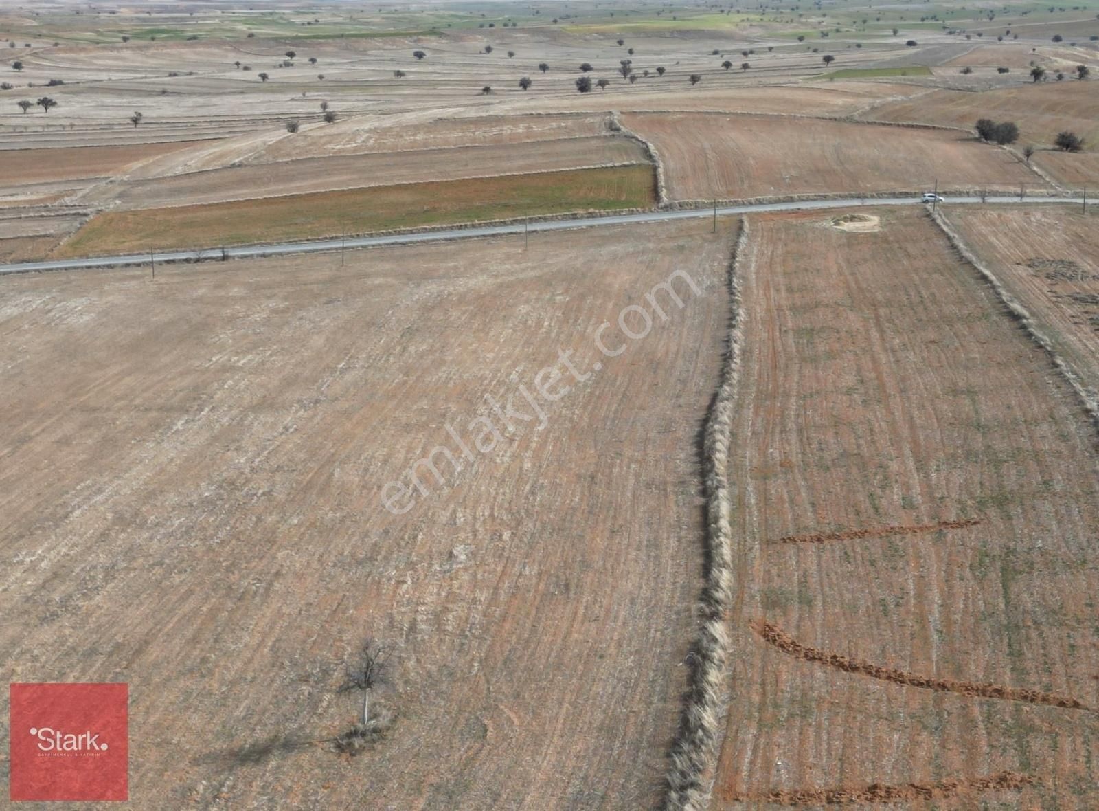 Afyon Dazkırı 8.700m2 Tek Tapu Satılık Tarla - Görsel 4
