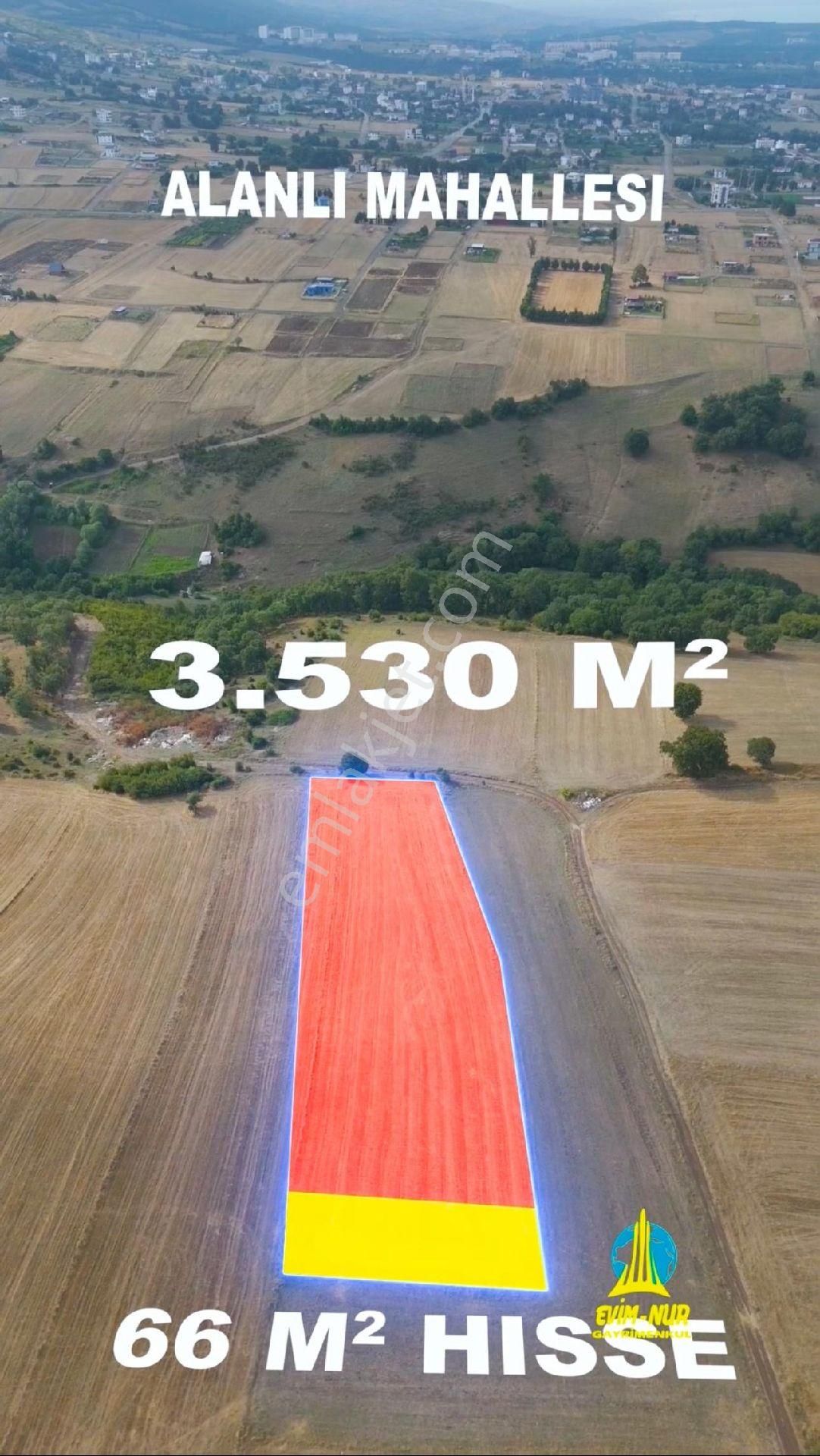 Evim-nur'dan Alanlı Mah 3.530 M2 Alan İçerisinde Yatırımlık Fırsat 66m2 Acil Satılık Tarla - Görsel 5