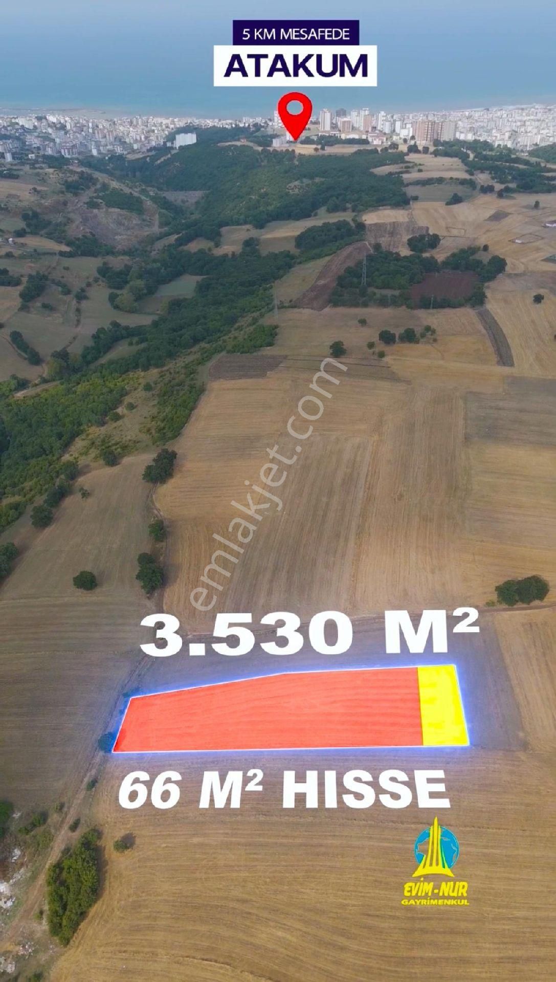 Evim-nur'dan Alanlı Mah 3.530 M2 Alan İçerisinde Yatırımlık Fırsat 66m2 Acil Satılık Tarla - Görsel 4