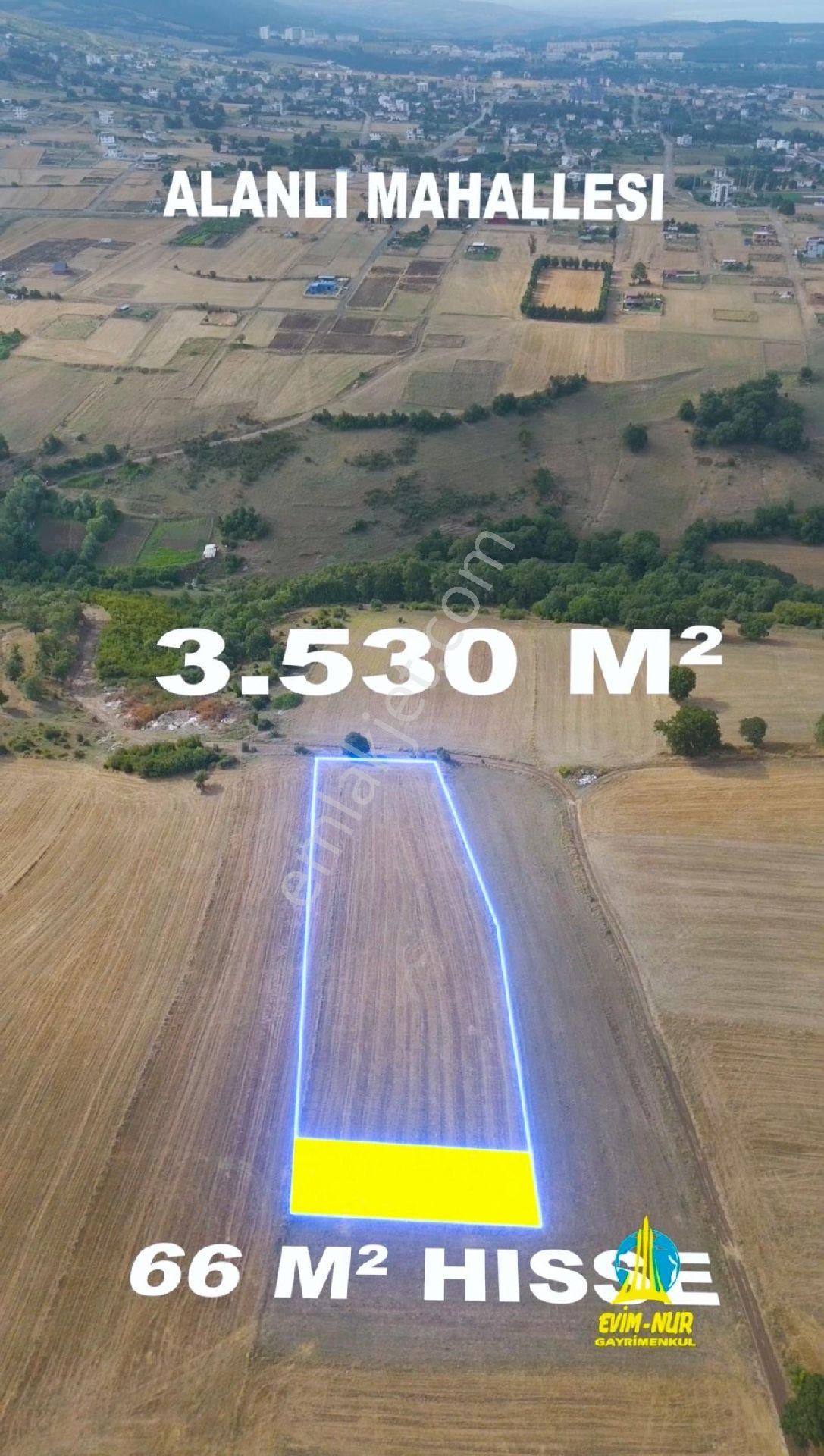 Evim-nur'dan Alanlı Mah 3.530 M2 Alan İçerisinde Yatırımlık Fırsat 66m2 Acil Satılık Tarla - Görsel 3
