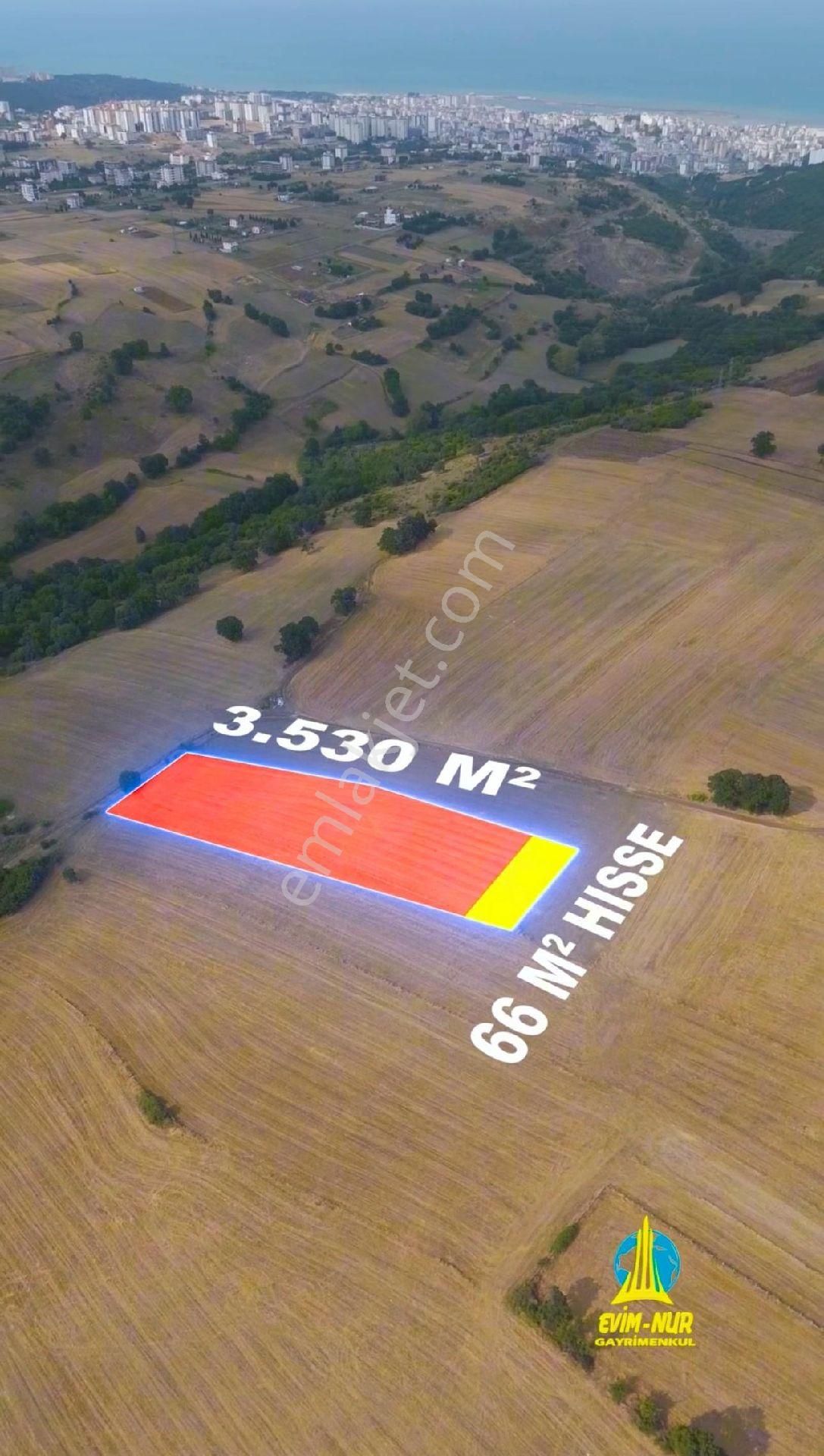 Evim-nur'dan Alanlı Mah 3.530 M2 Alan İçerisinde Yatırımlık Fırsat 66m2 Acil Satılık Tarla - Görsel 12
