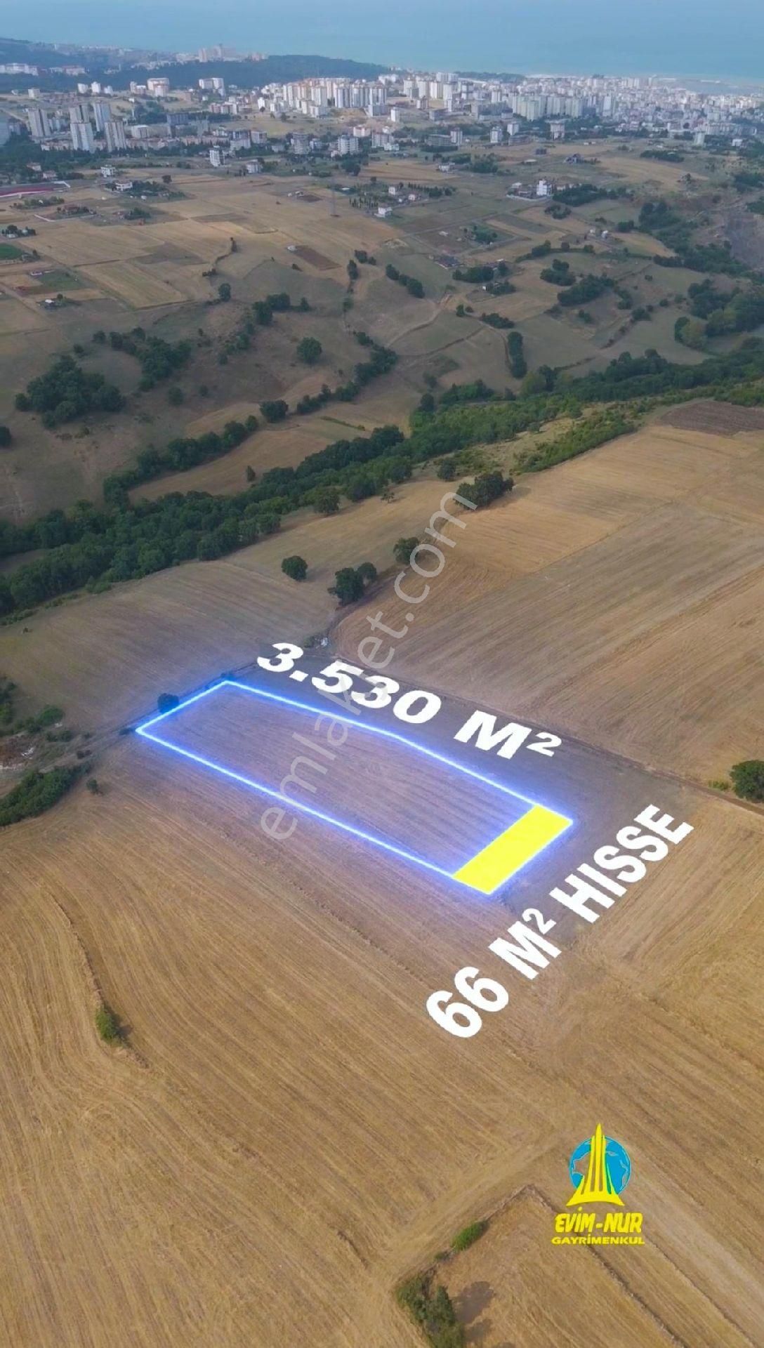 Evim-nur'dan Alanlı Mah 3.530 M2 Alan İçerisinde Yatırımlık Fırsat 66m2 Acil Satılık Tarla - Görsel 13