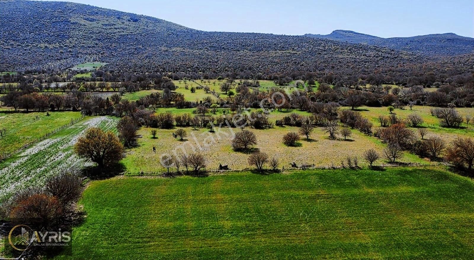 Manisa Yunusemre Karaahmetli Ovada Satılık Tarla