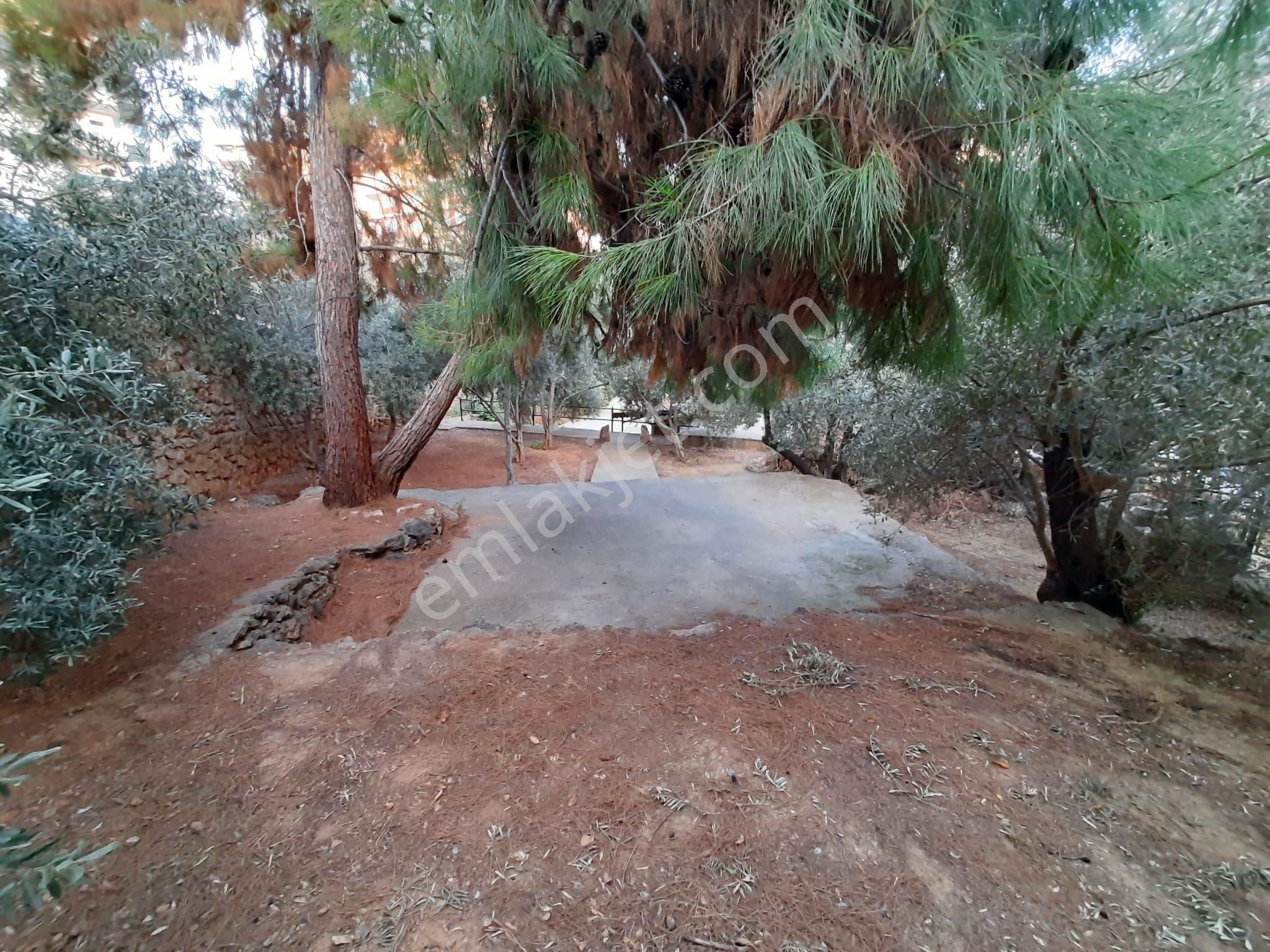 Alanya Tosmur’da Denize 200 Metrede 1+1 Daire | Eşyalı | Rezidans Konforu - Görsel 24