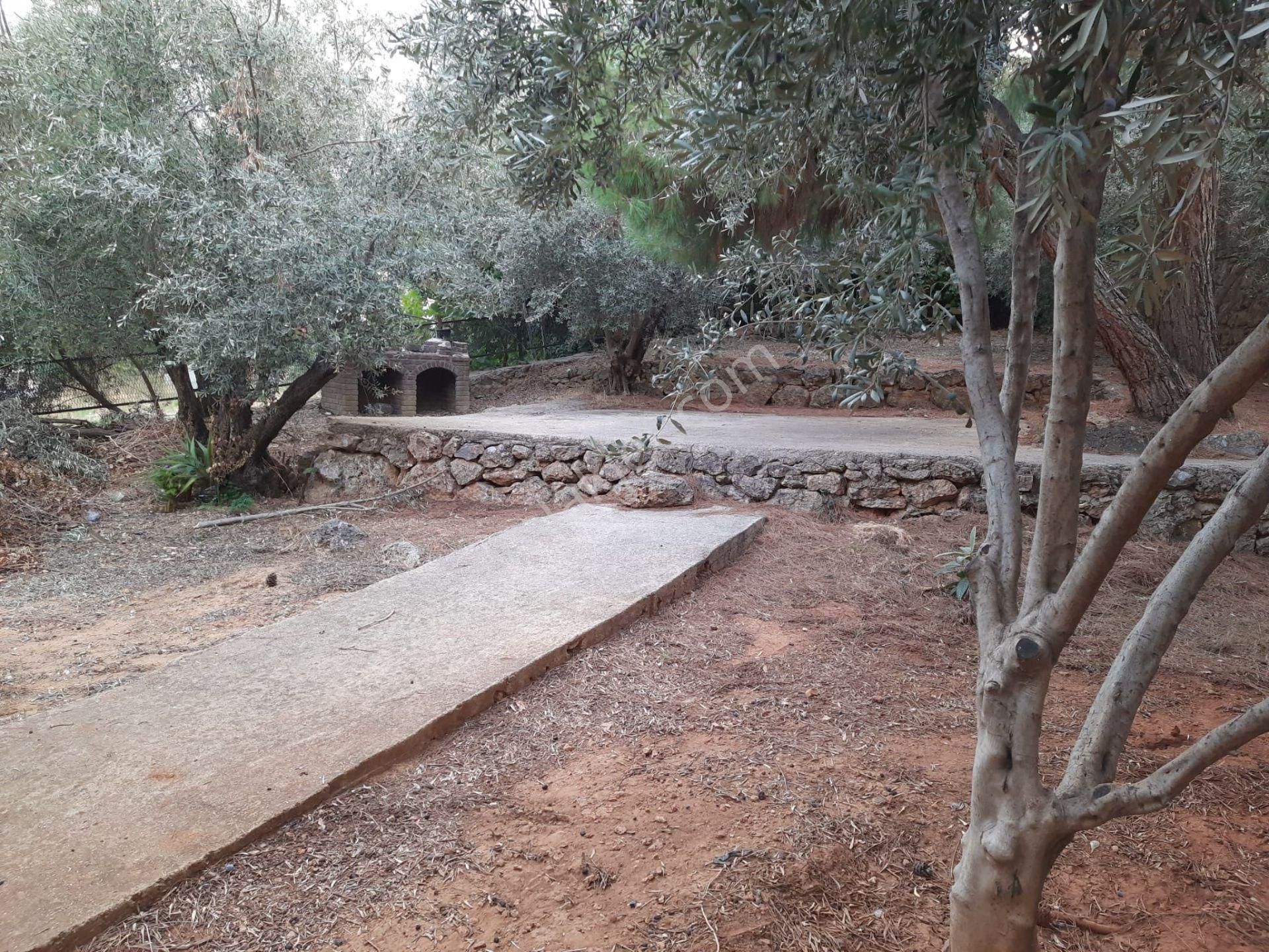 Alanya Tosmur’da Denize 200 Metrede 1+1 Daire | Eşyalı | Rezidans Konforu - Görsel 25