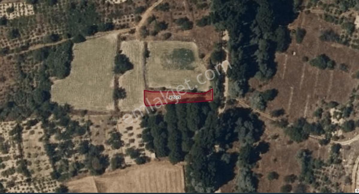 Ürgüp Karlık Satılık Bahçe Hazır Kurulu Düzen Yolu Var Tek Tapu