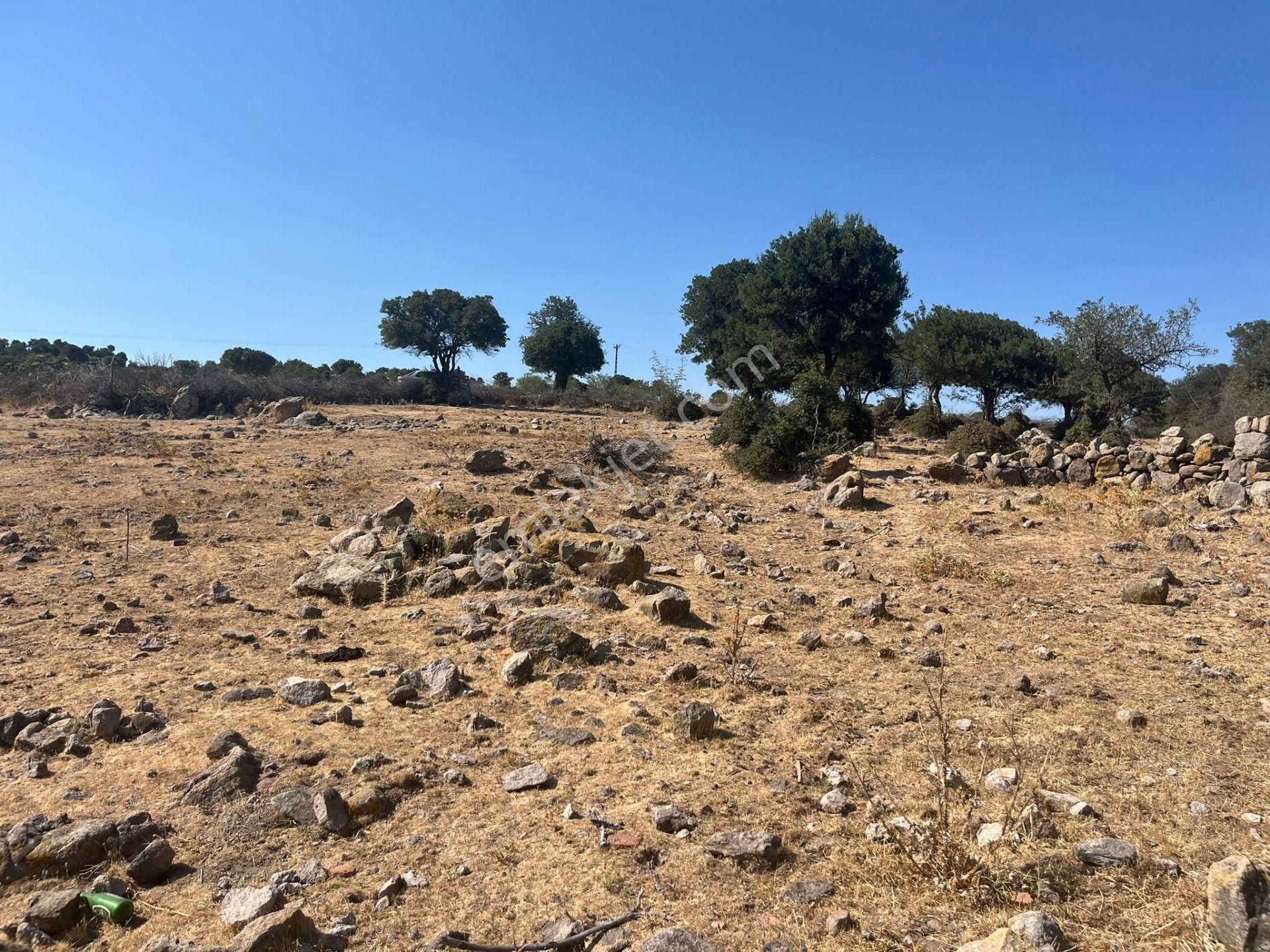 Çanakkale Ayvacık Çınarpınar’da Satılık Tarla! - Görsel 18