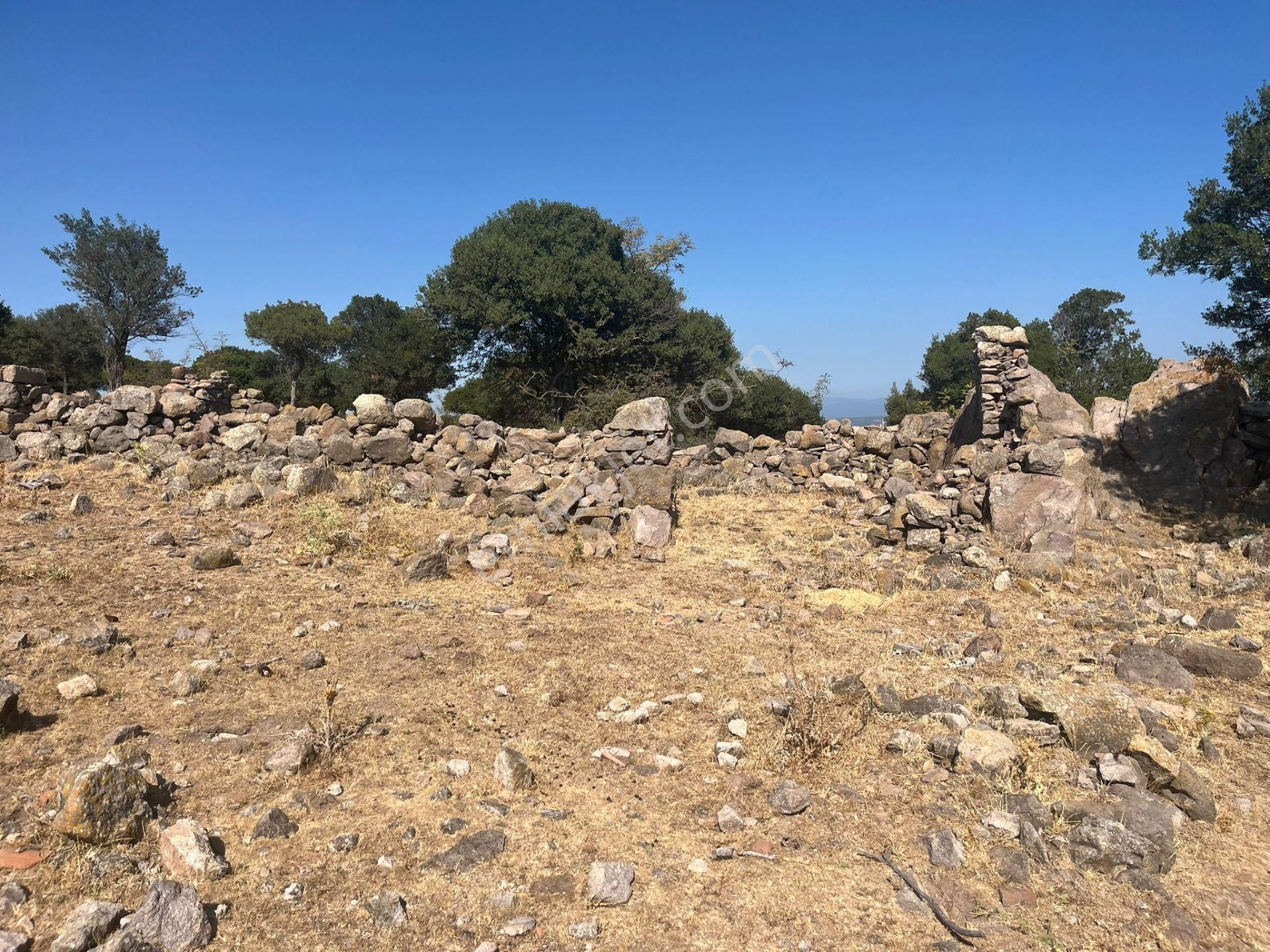 Çanakkale Ayvacık Çınarpınar’da Satılık Tarla! - Görsel 17