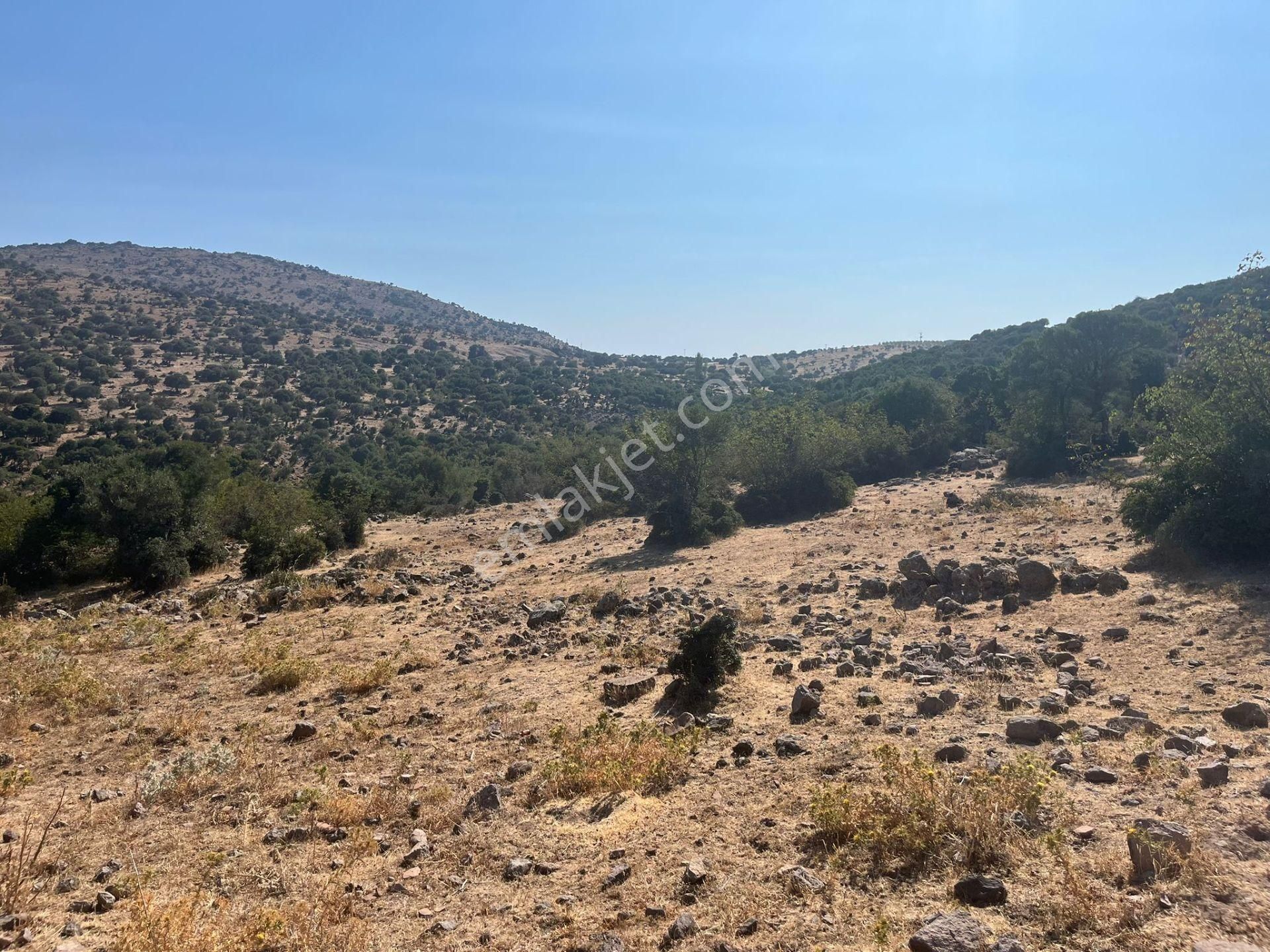 Çanakkale Ayvacık Çınarpınar’da Satılık Tarla! - Görsel 22