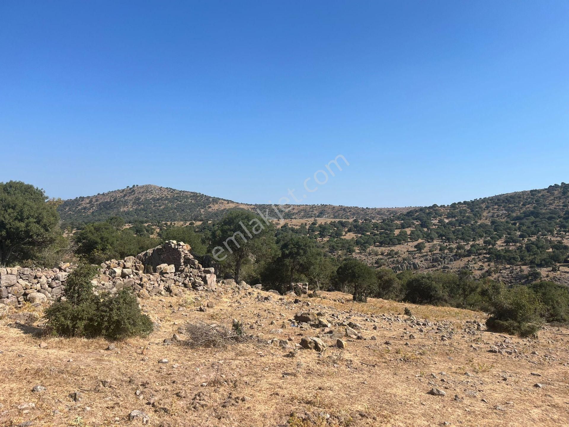 Çanakkale Ayvacık Çınarpınar’da Satılık Tarla! - Görsel 19