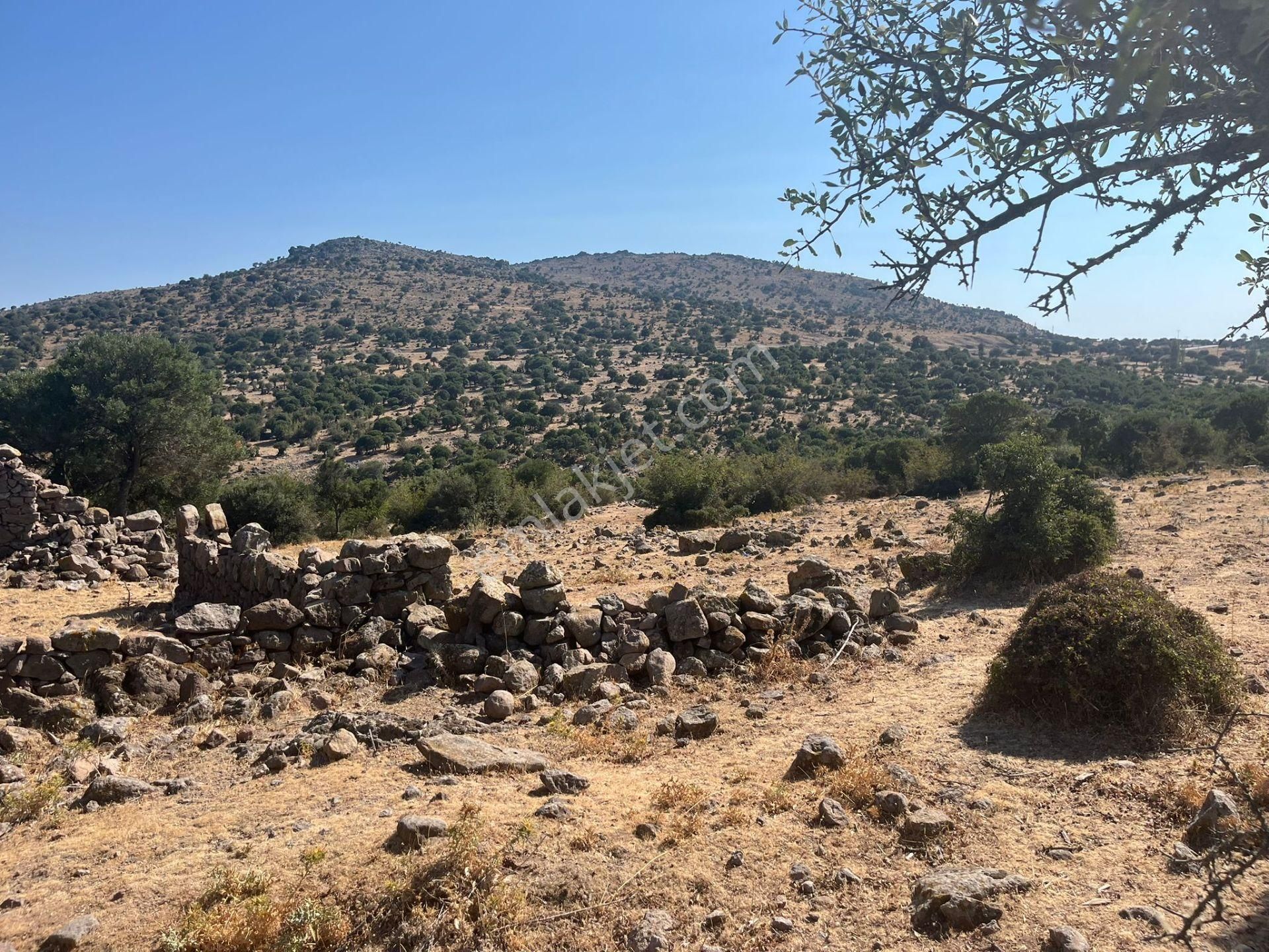 Çanakkale Ayvacık Çınarpınar’da Satılık Tarla! - Görsel 10