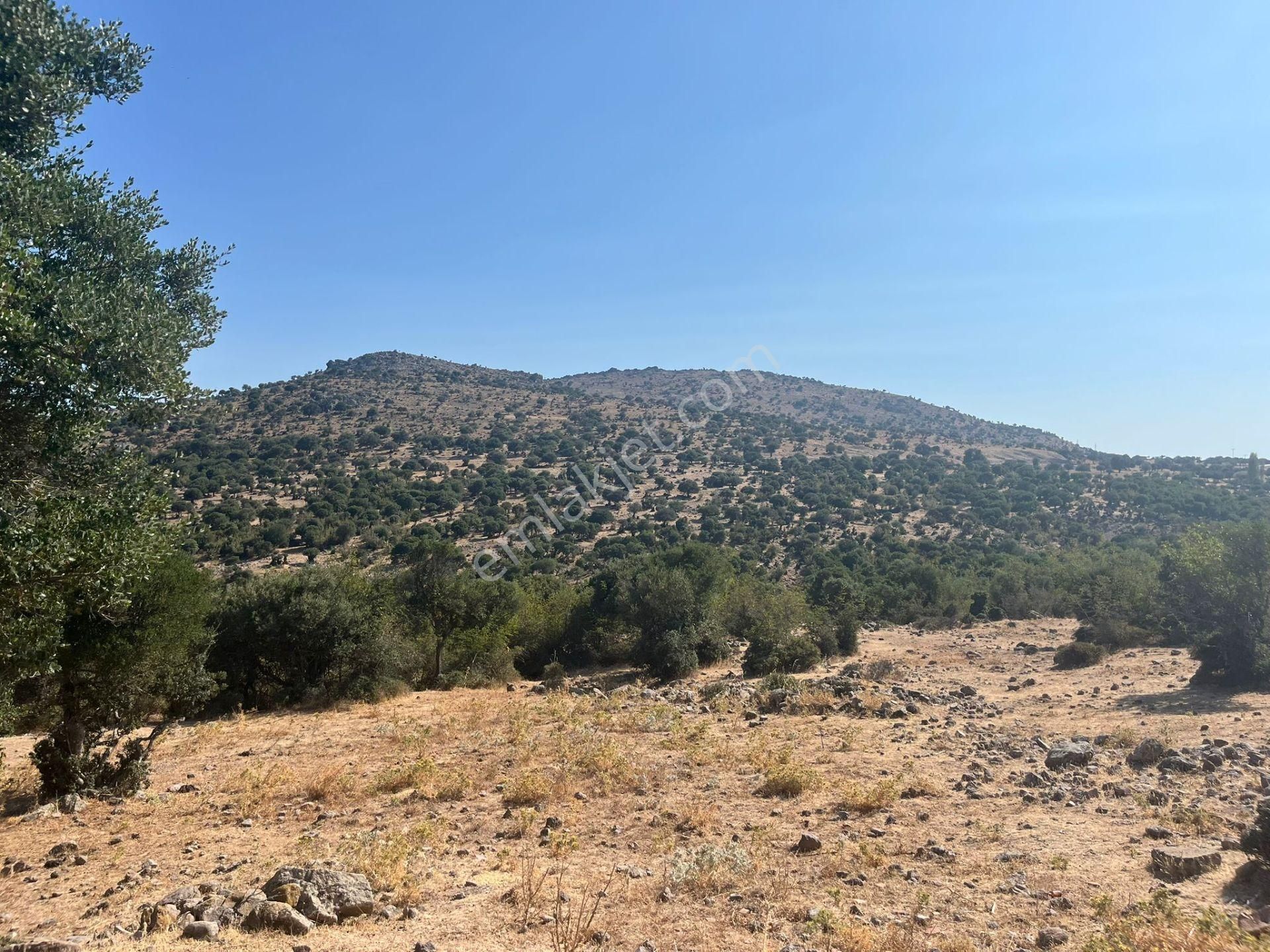 Çanakkale Ayvacık Çınarpınar’da Satılık Tarla! - Görsel 14