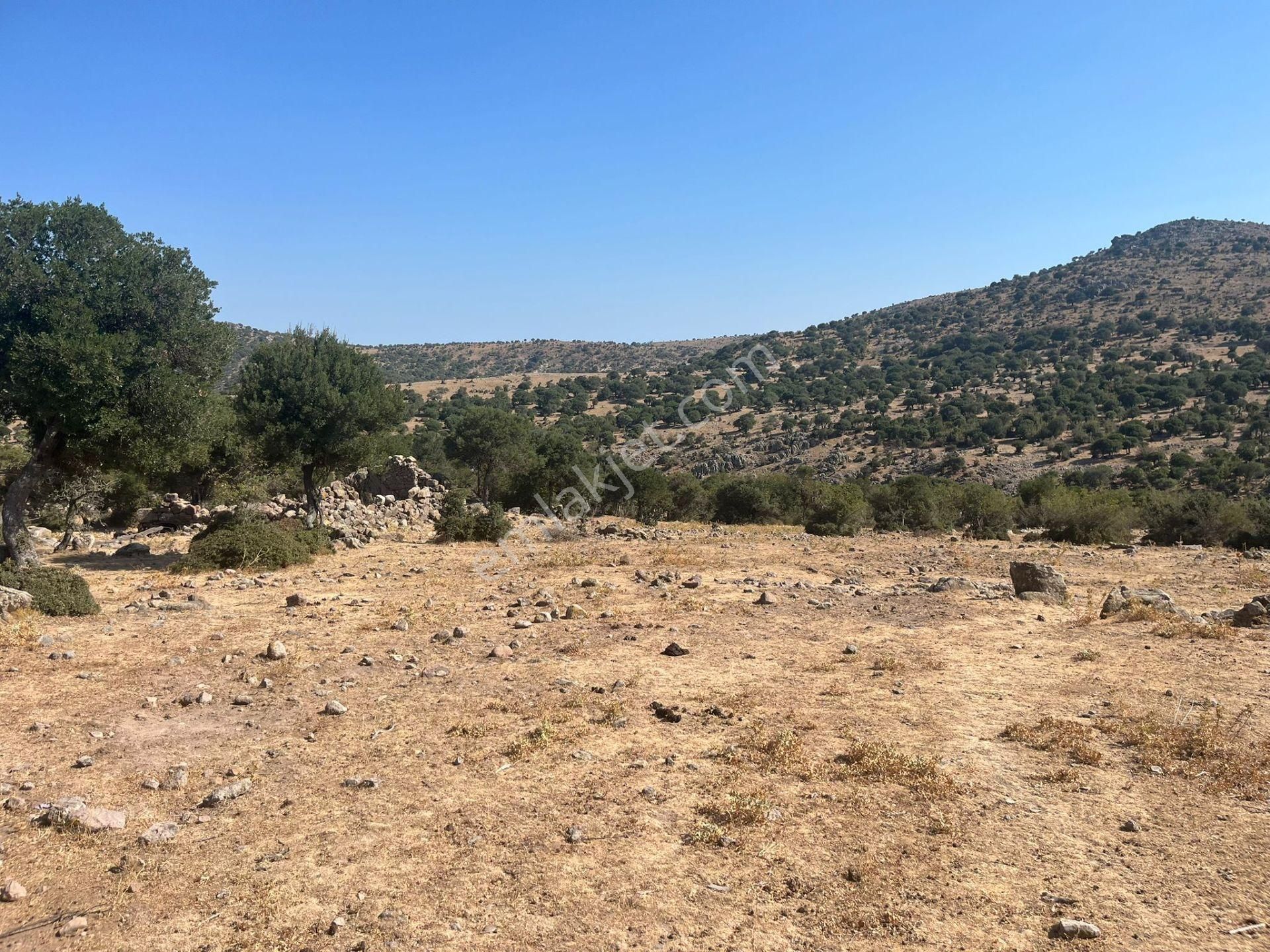 Çanakkale Ayvacık Çınarpınar’da Satılık Tarla! - Görsel 15