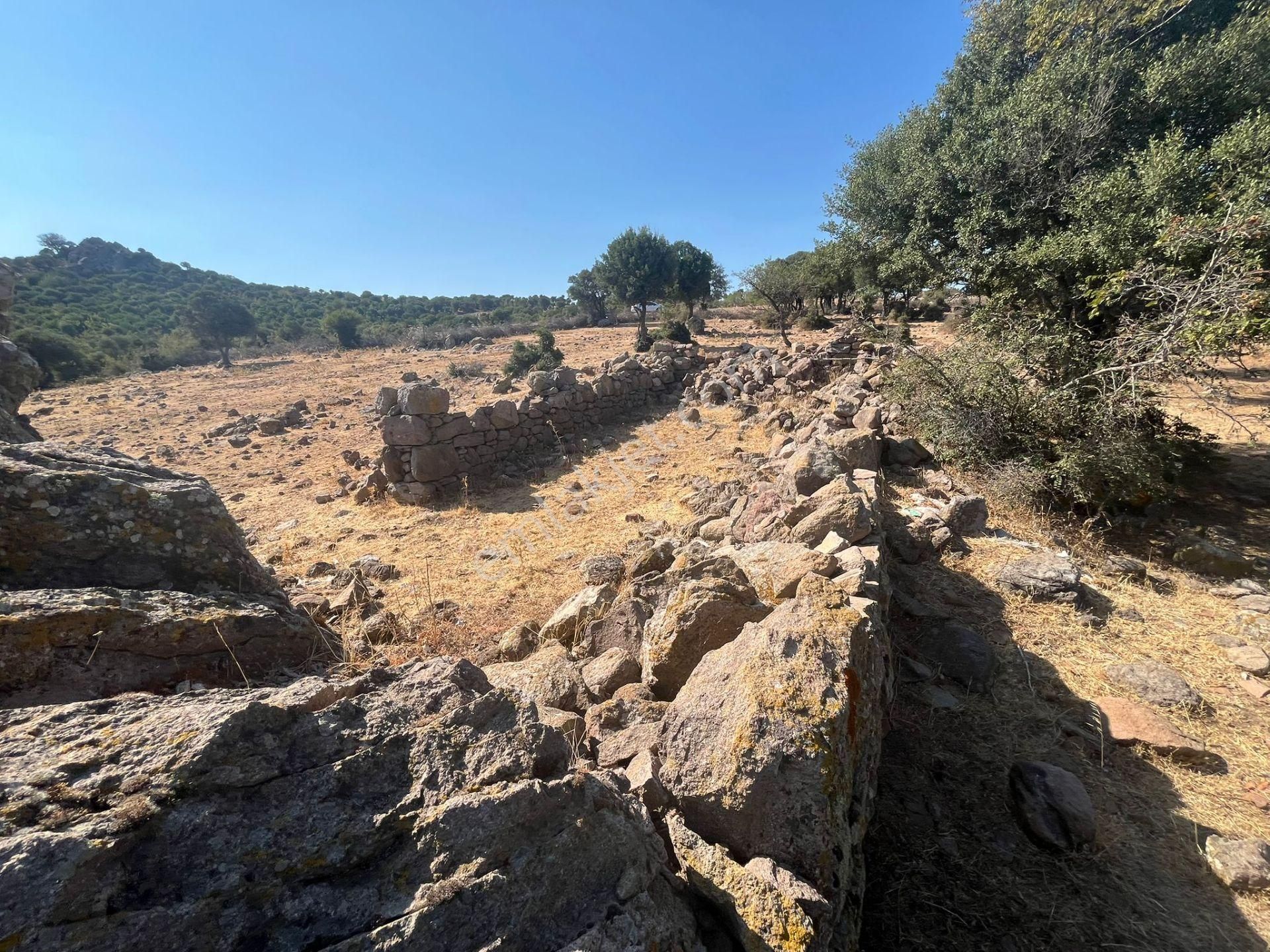 Çanakkale Ayvacık Çınarpınar’da Satılık Tarla! - Görsel 8