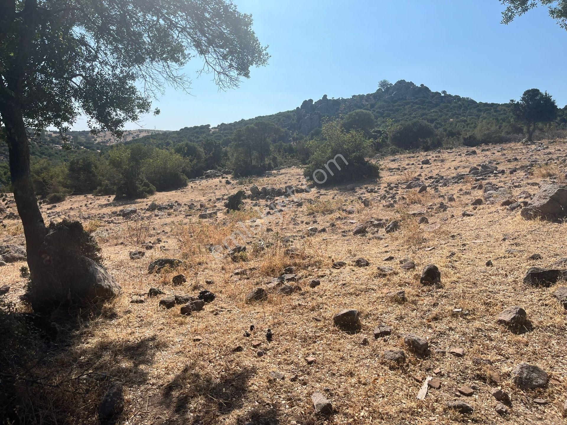 Çanakkale Ayvacık Çınarpınar’da Satılık Tarla! - Görsel 11