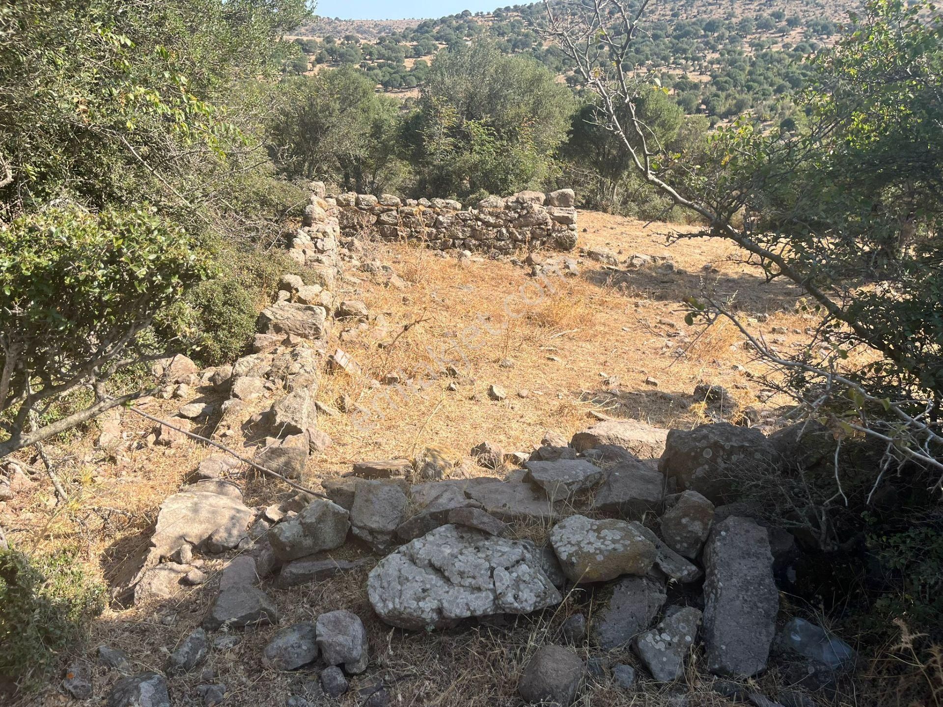 Çanakkale Ayvacık Çınarpınar’da Satılık Tarla! - Görsel 12