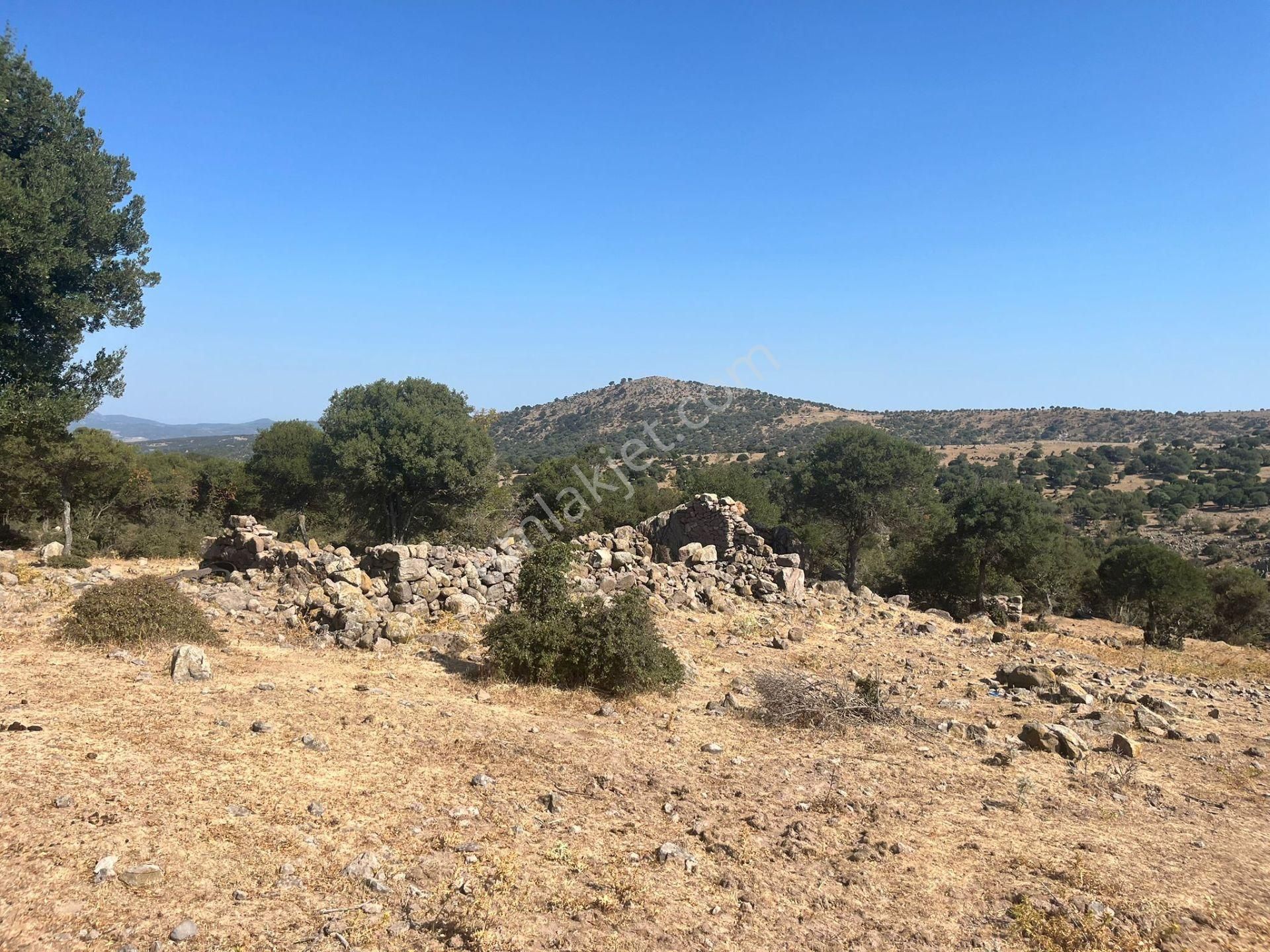 Çanakkale Ayvacık Çınarpınar’da Satılık Tarla! - Görsel 20